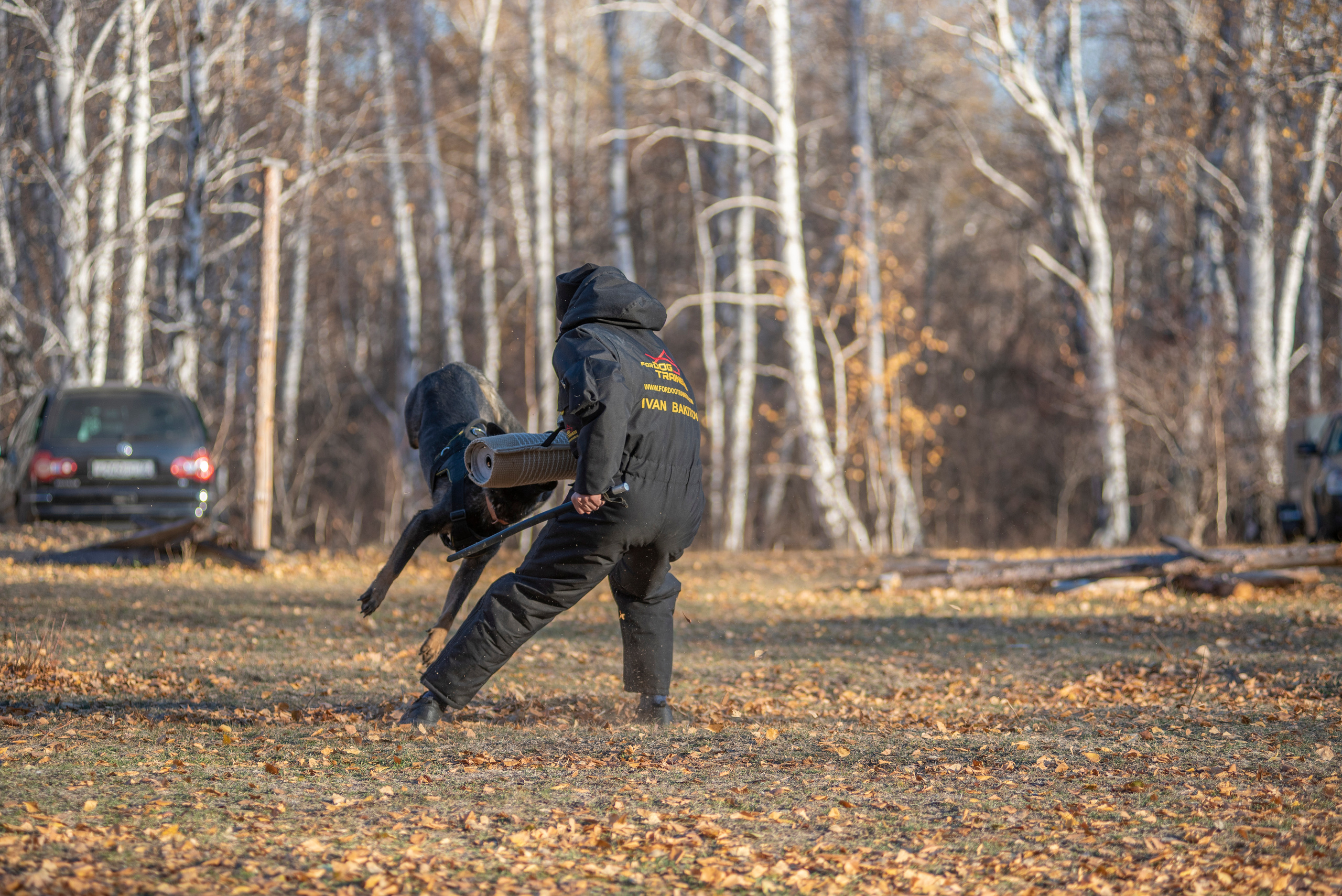 RUSSIAN HELPERS SCHOOL. Магнитогорск октябрь 2021. Дог-фотограф в Тюмени Александра Королева
