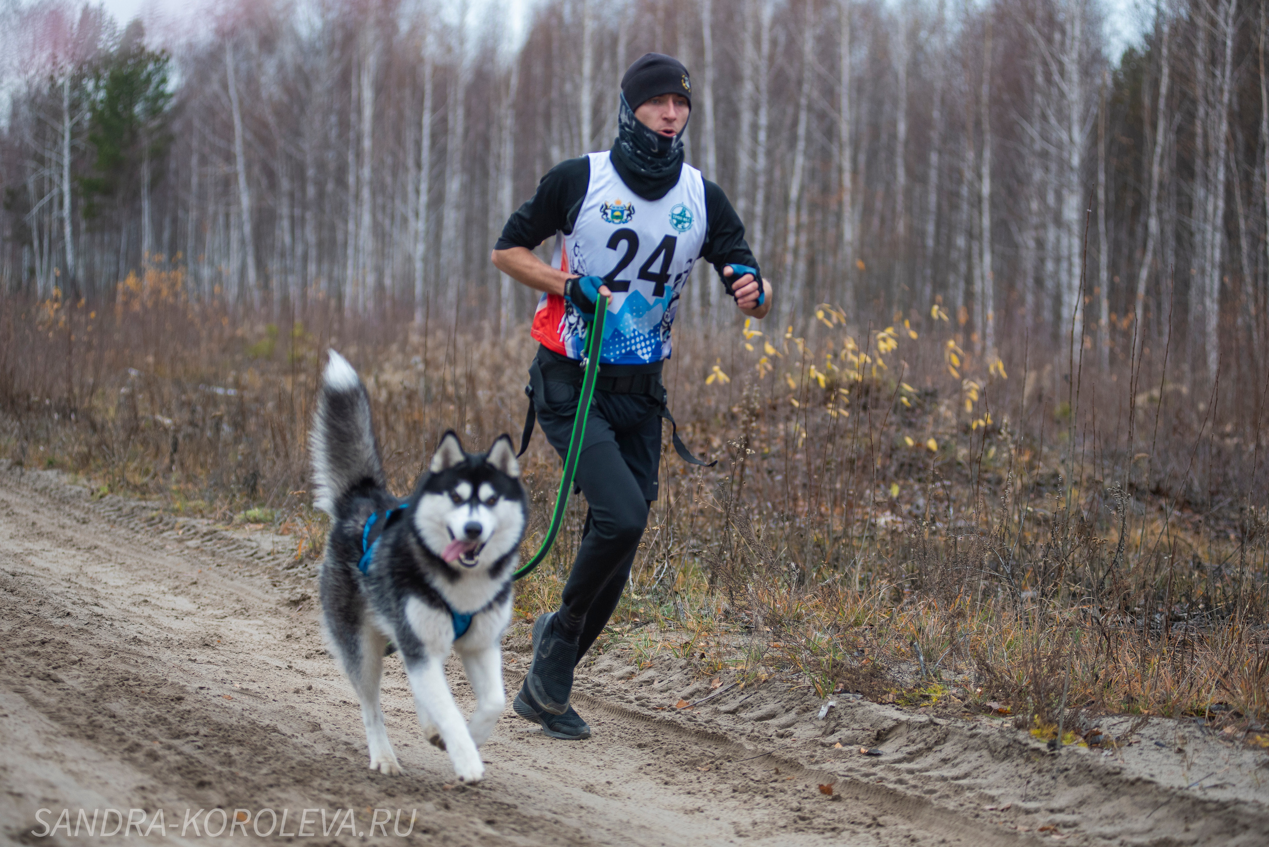 Спринт-гонка «Закрытие сезона» 24.10.2021. Дог-фотограф в Тюмени Александра Королева