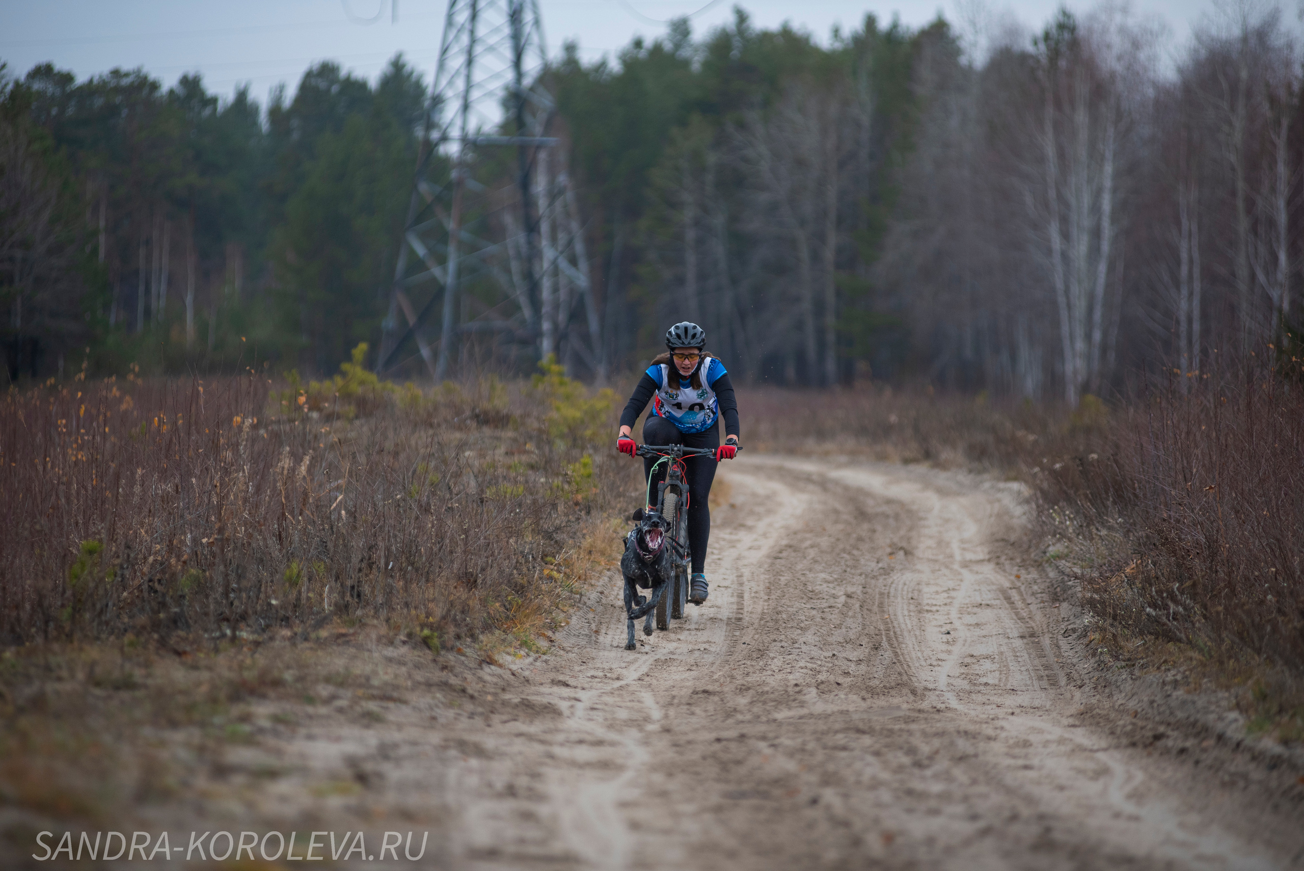 Спринт-гонка «Закрытие сезона» 24.10.2021. Дог-фотограф в Тюмени Александра Королева
