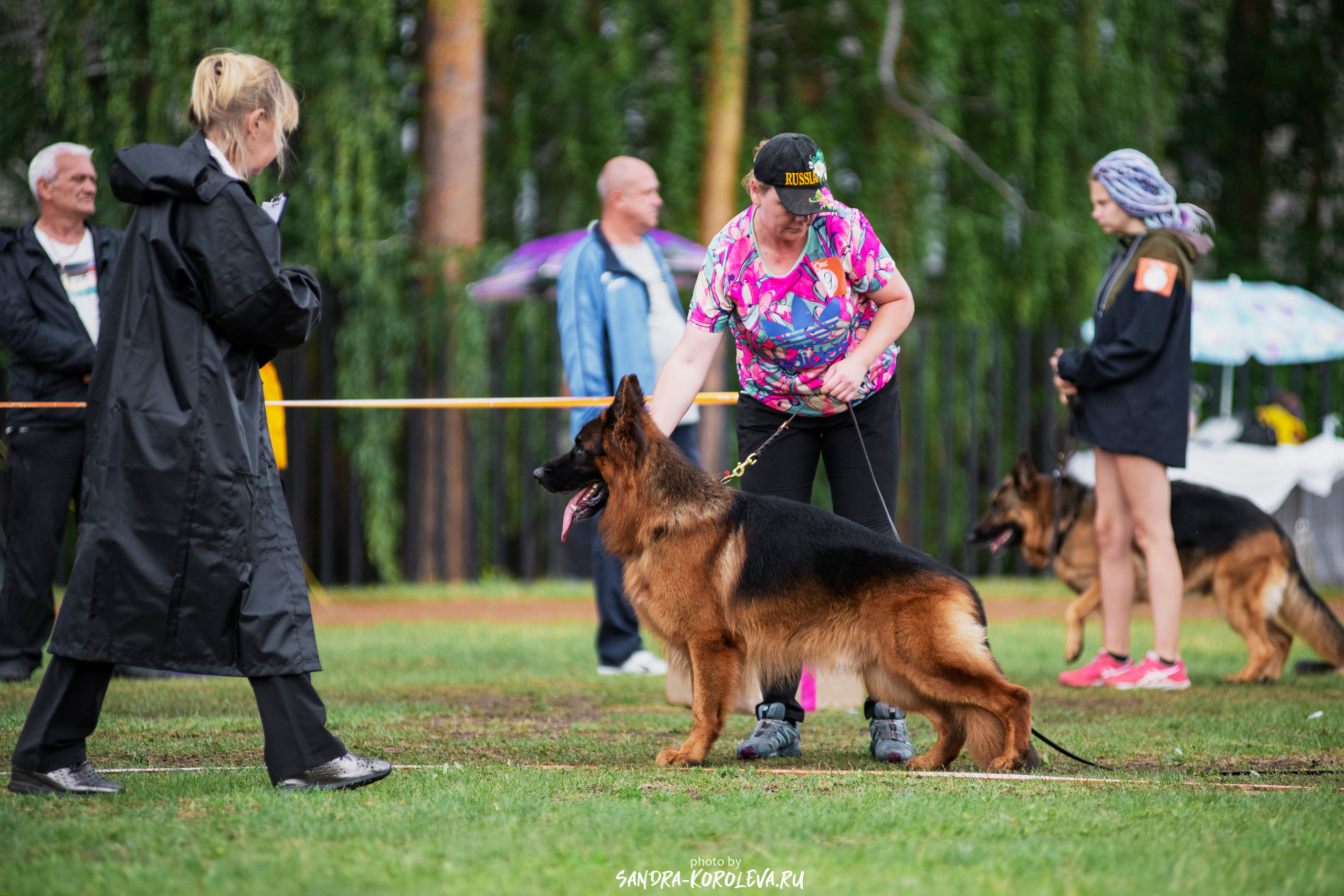 Монопородная выставка немецких овчарок, г. Заречный 2021. Дог-фотограф в Тюмени Александра Королева