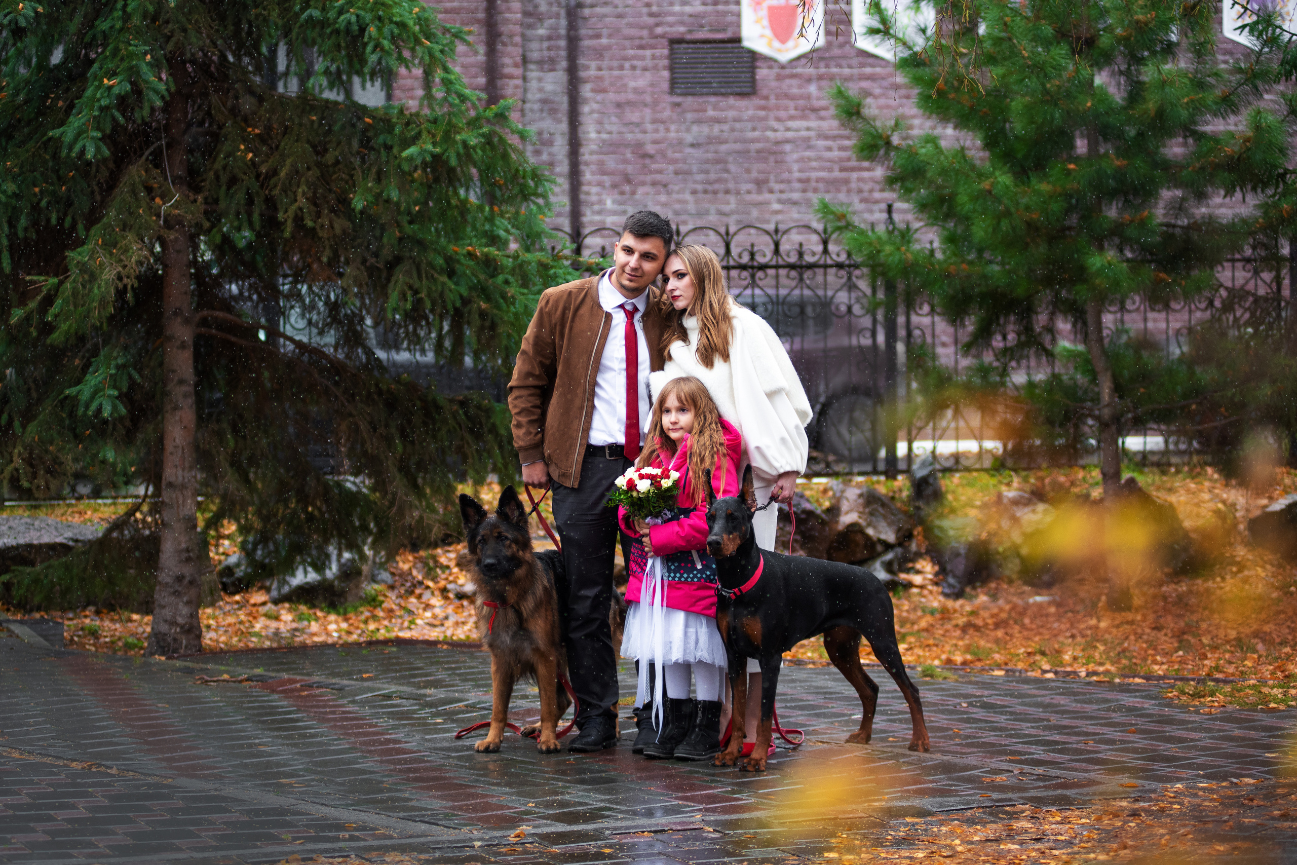 Свадьба Саши и Стаса. Дог-фотограф в Тюмени Александра Королева