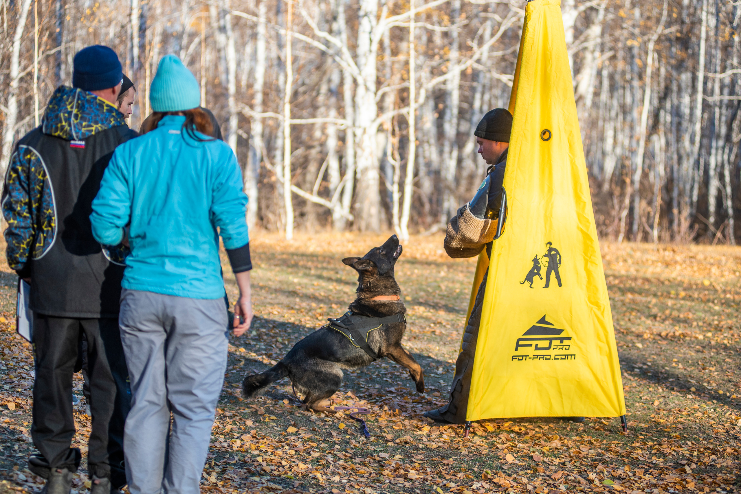 RUSSIAN HELPERS SCHOOL. Магнитогорск октябрь 2021. Дог-фотограф в Тюмени Александра Королева