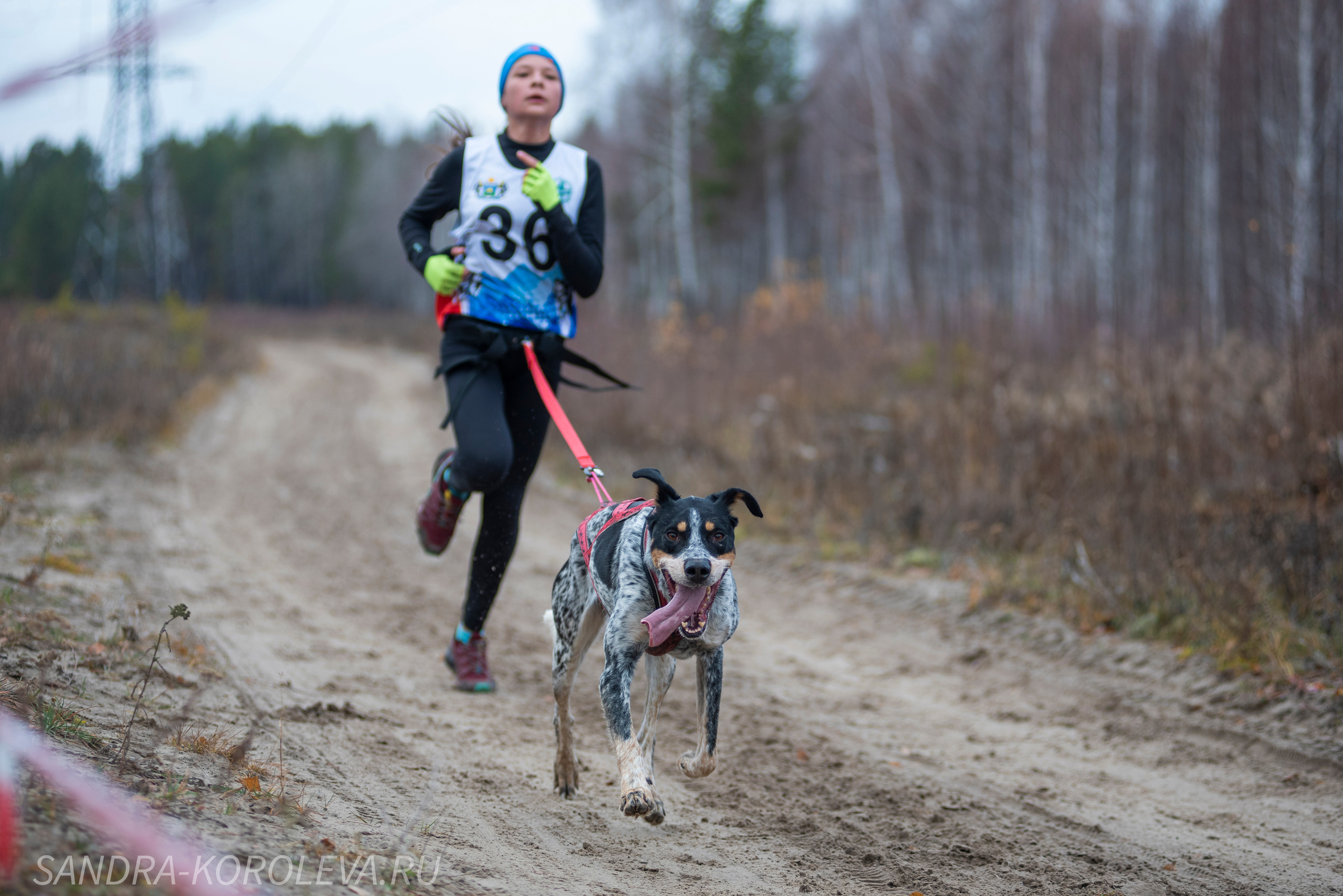 Спринт-гонка «Закрытие сезона» 24.10.2021. Дог-фотограф в Тюмени Александра Королева