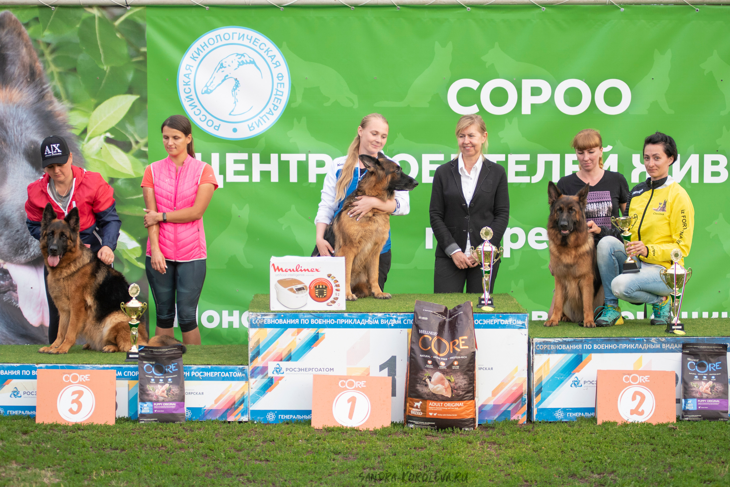 Монопородная выставка немецких овчарок, г. Заречный 2021. Дог-фотограф в Тюмени Александра Королева