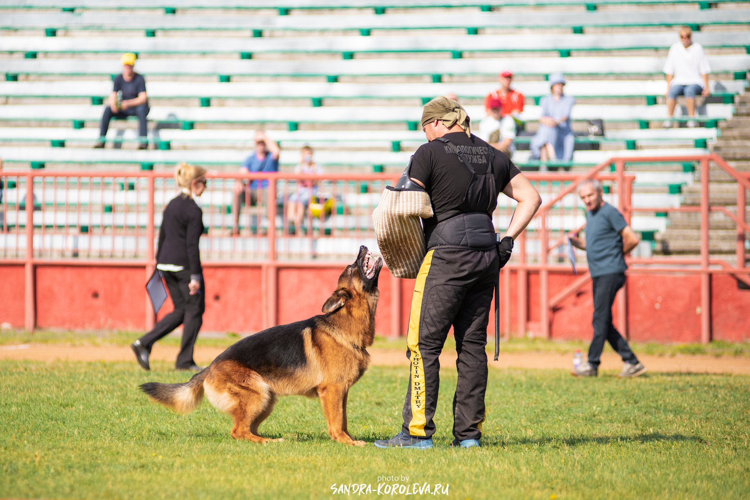 Монопородная выставка немецких овчарок, г. Заречный 2021. Дог-фотограф в Тюмени Александра Королева