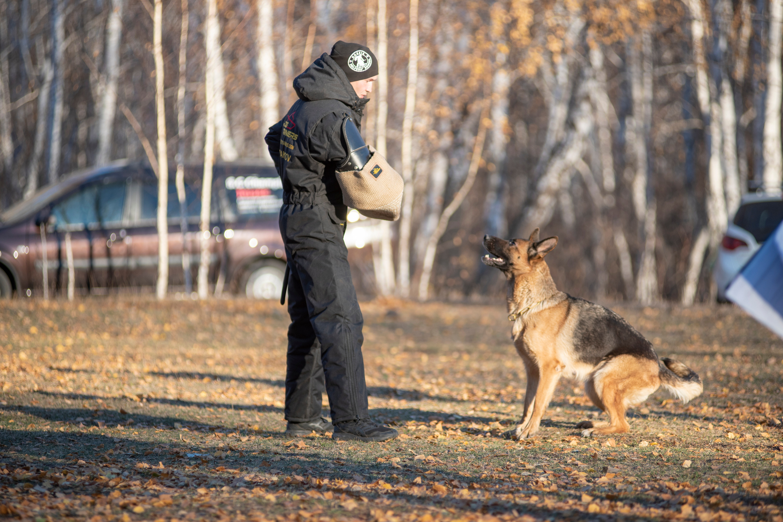 RUSSIAN HELPERS SCHOOL. Магнитогорск октябрь 2021. Дог-фотограф в Тюмени Александра Королева