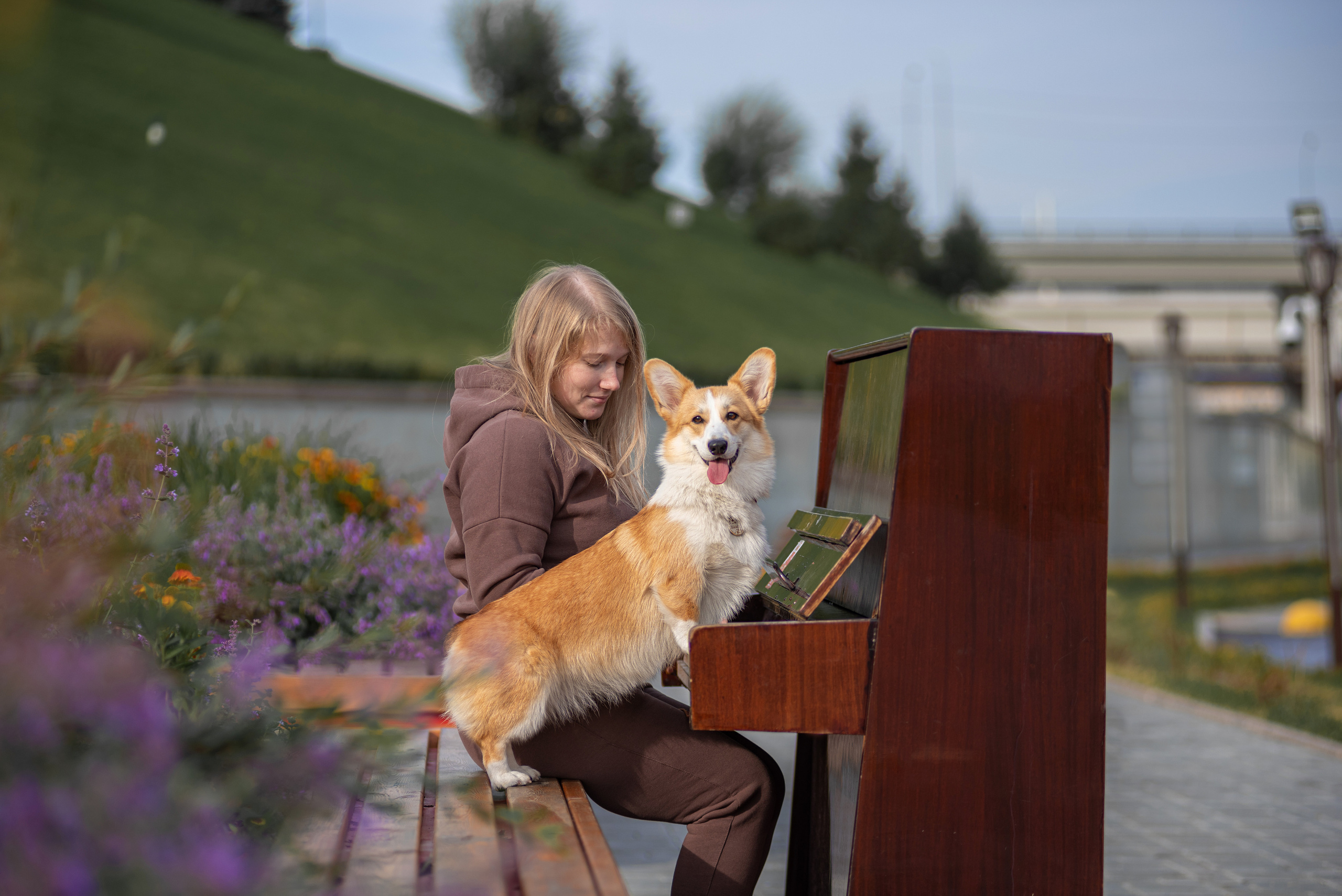 Ася и Плюша. Дог-фотограф в Тюмени Александра Королева