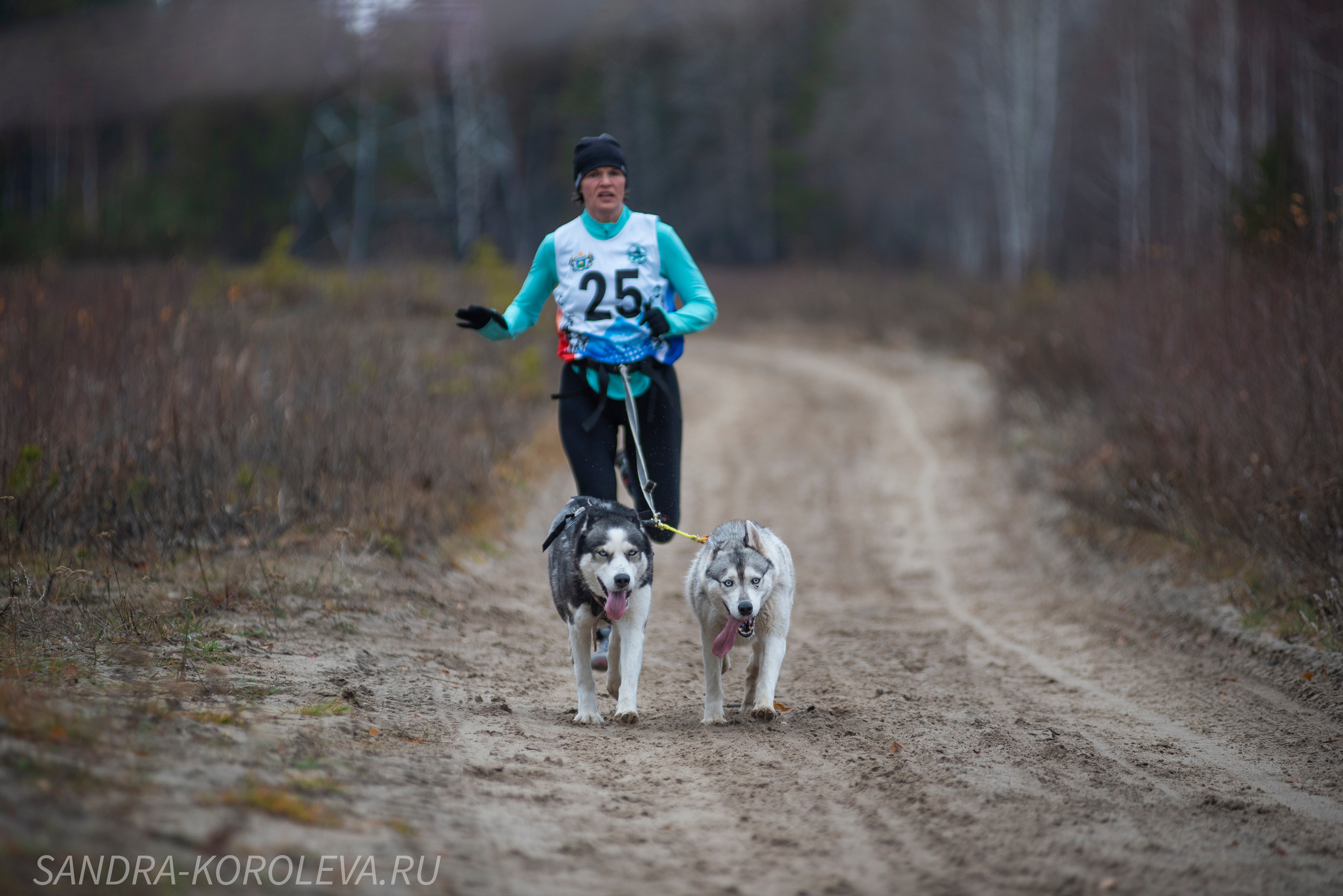 Спринт-гонка «Закрытие сезона» 24.10.2021. Дог-фотограф в Тюмени Александра Королева