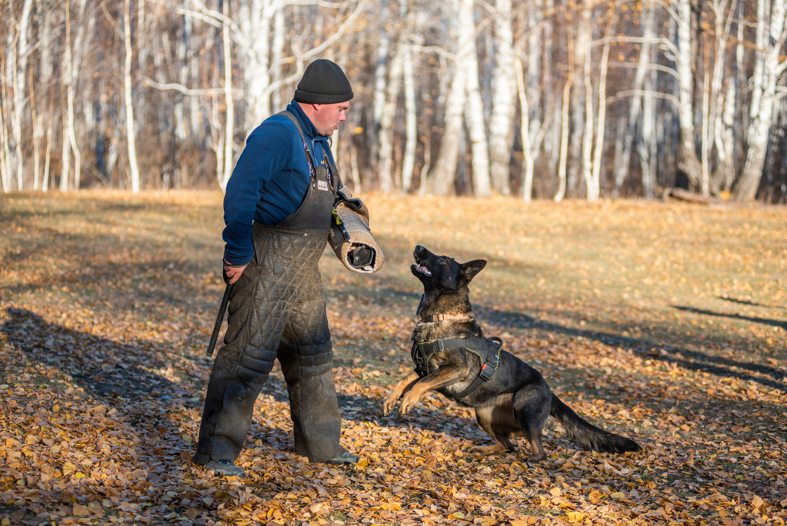RUSSIAN HELPERS SCHOOL. Магнитогорск октябрь 2021. Дог-фотограф в Тюмени Александра Королева