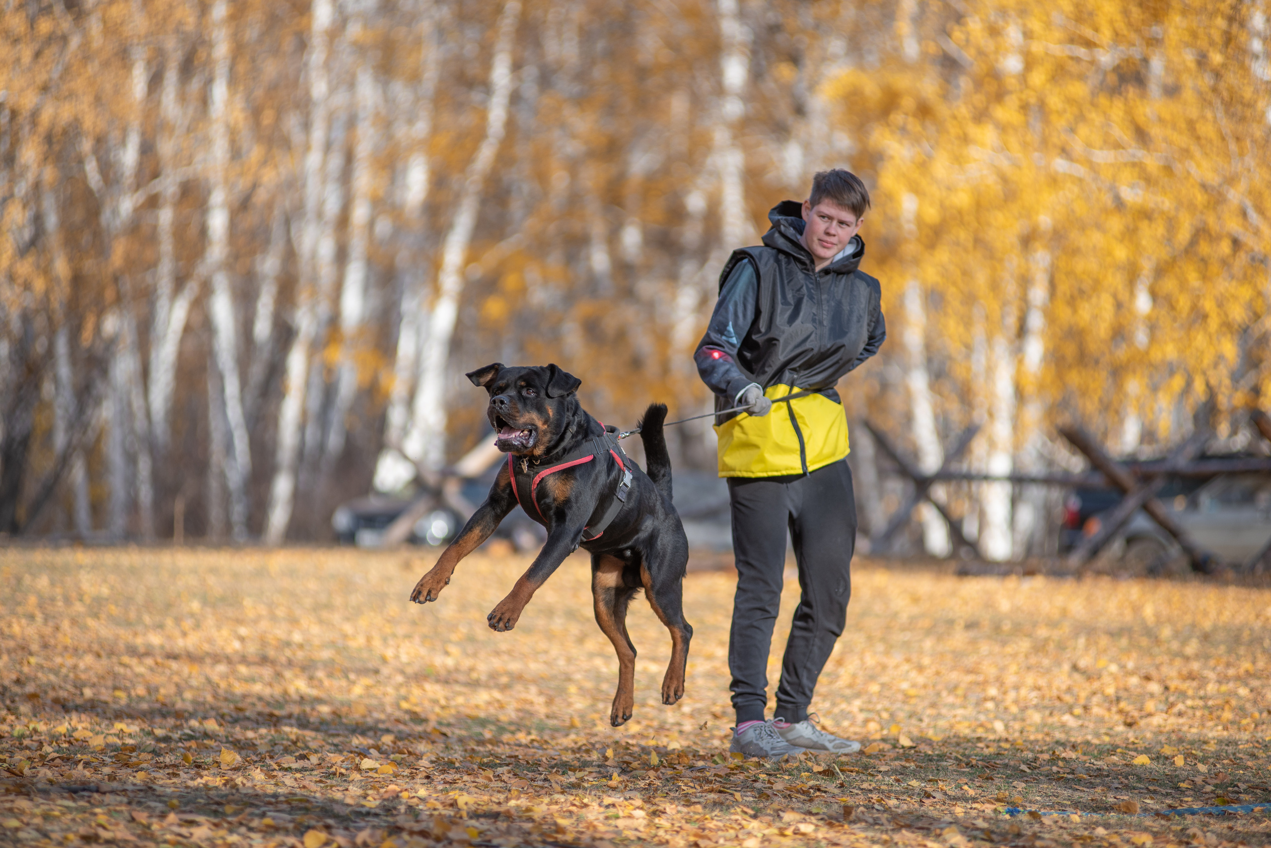 RUSSIAN HELPERS SCHOOL. Магнитогорск октябрь 2021. Дог-фотограф в Тюмени Александра Королева