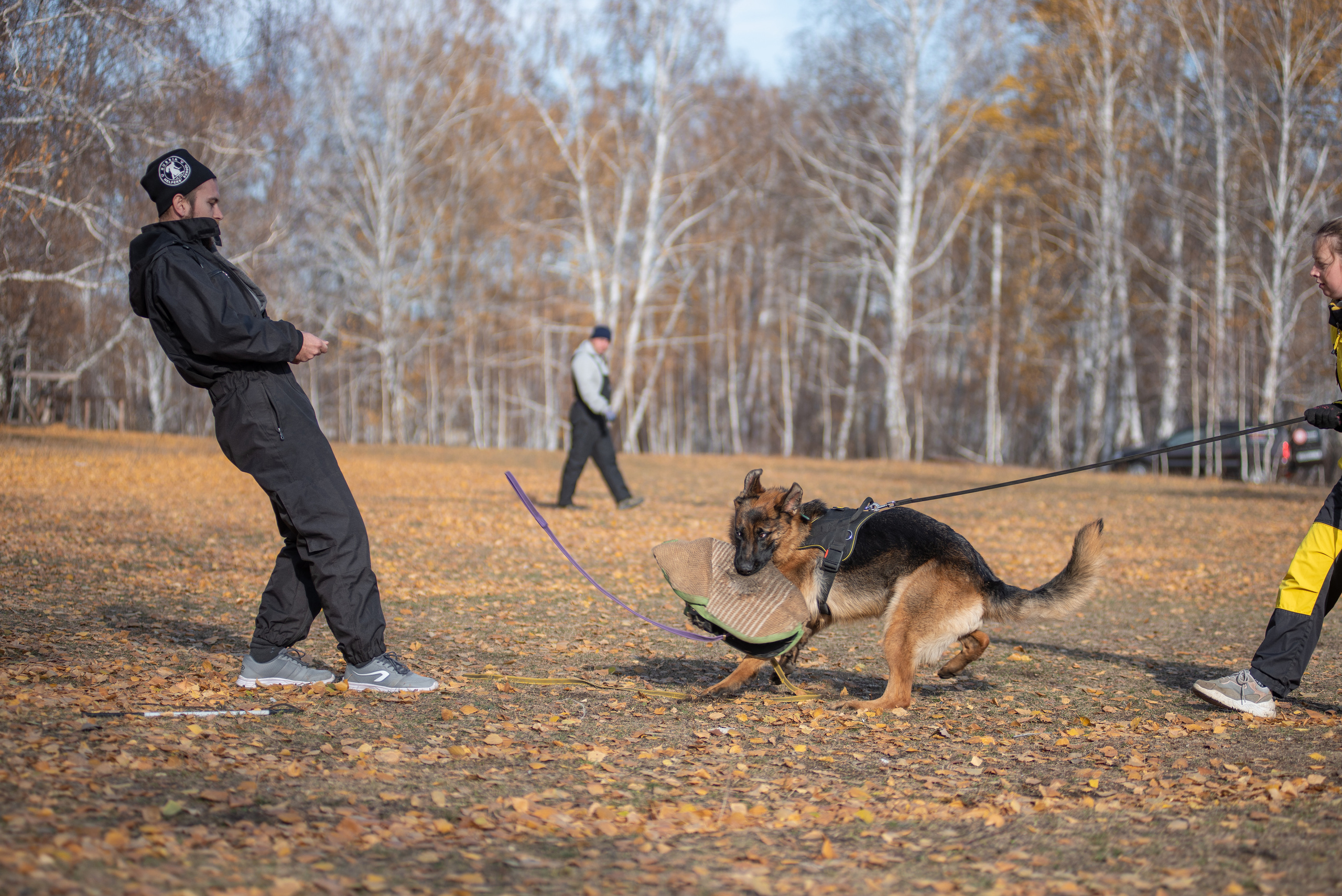RUSSIAN HELPERS SCHOOL. Магнитогорск октябрь 2021. Дог-фотограф в Тюмени Александра Королева