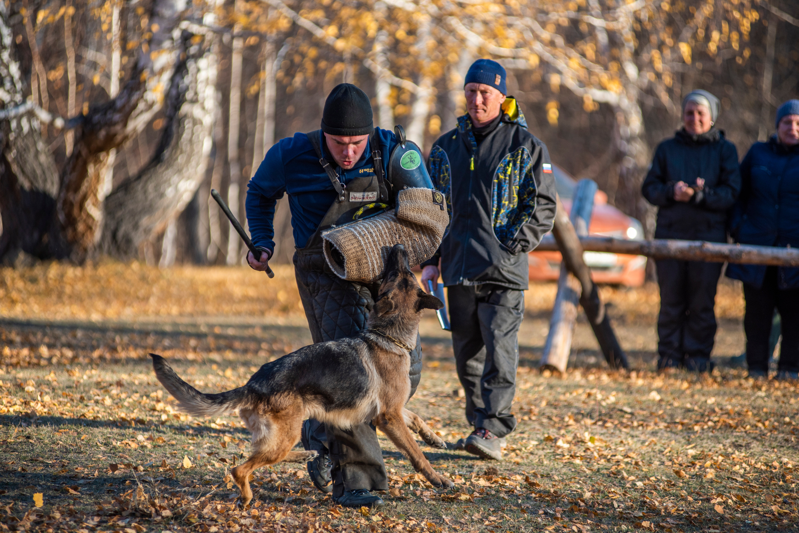 RUSSIAN HELPERS SCHOOL. Магнитогорск октябрь 2021. Дог-фотограф в Тюмени Александра Королева