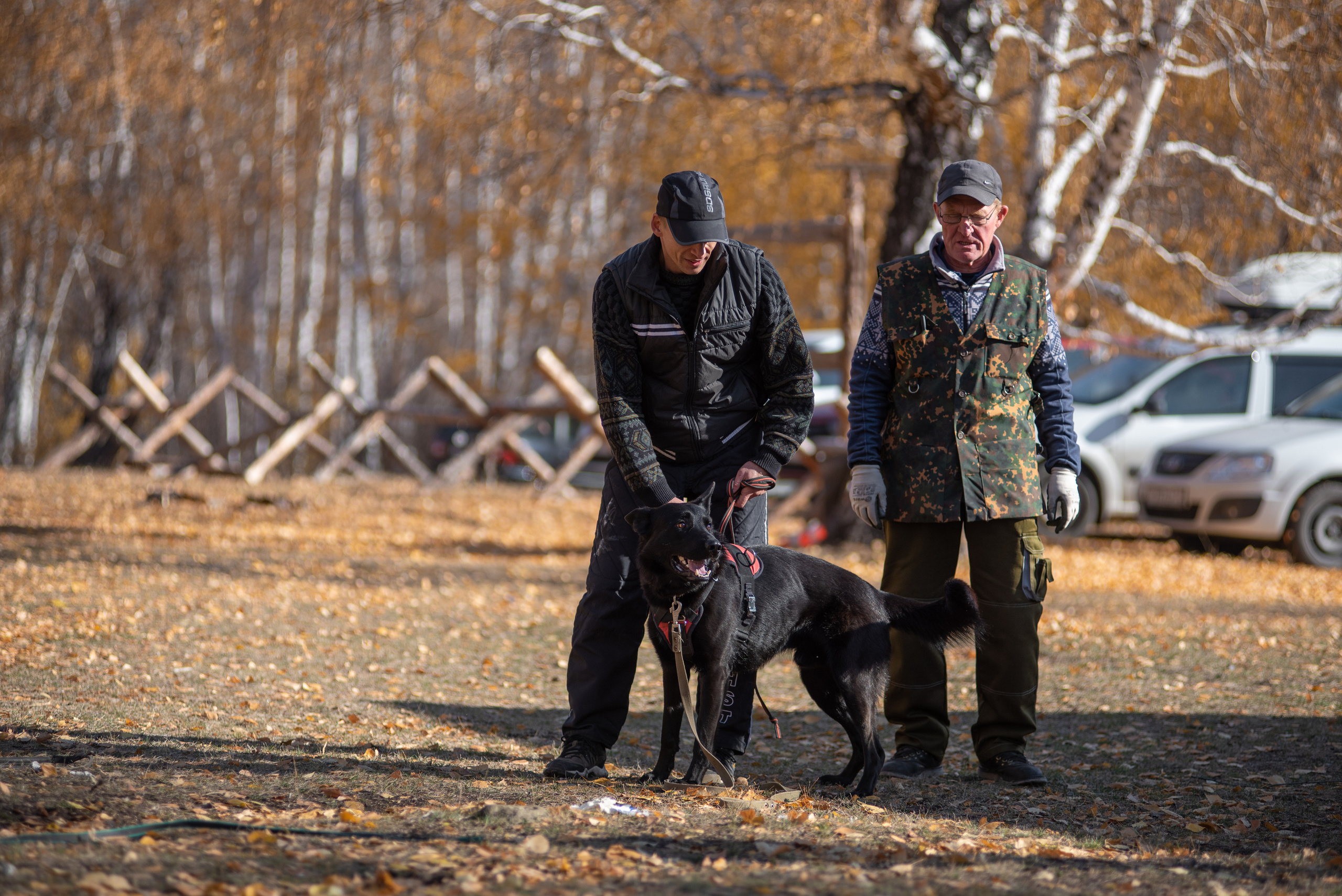 RUSSIAN HELPERS SCHOOL. Магнитогорск октябрь 2021. Дог-фотограф в Тюмени Александра Королева