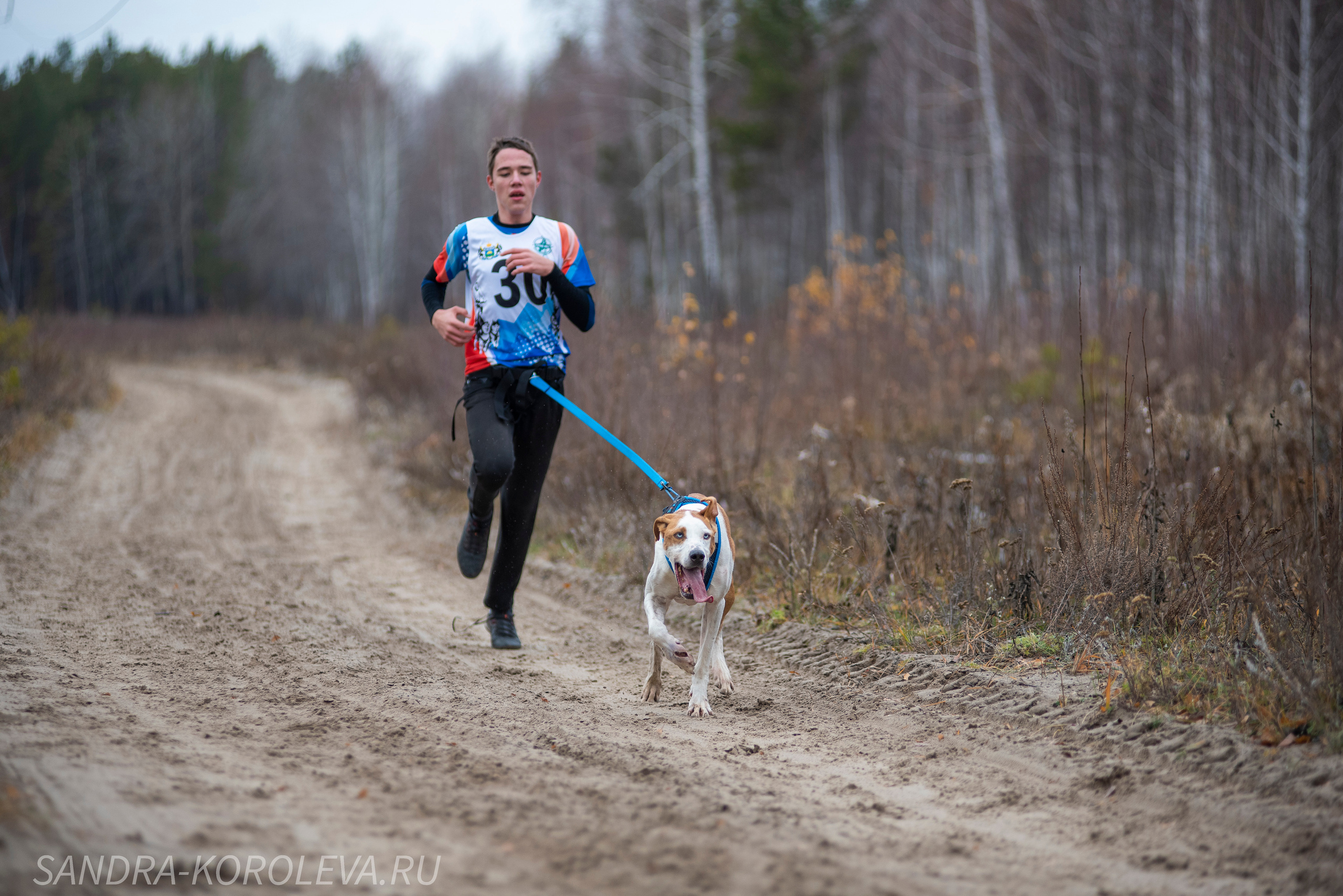Спринт-гонка «Закрытие сезона» 24.10.2021. Дог-фотограф в Тюмени Александра Королева