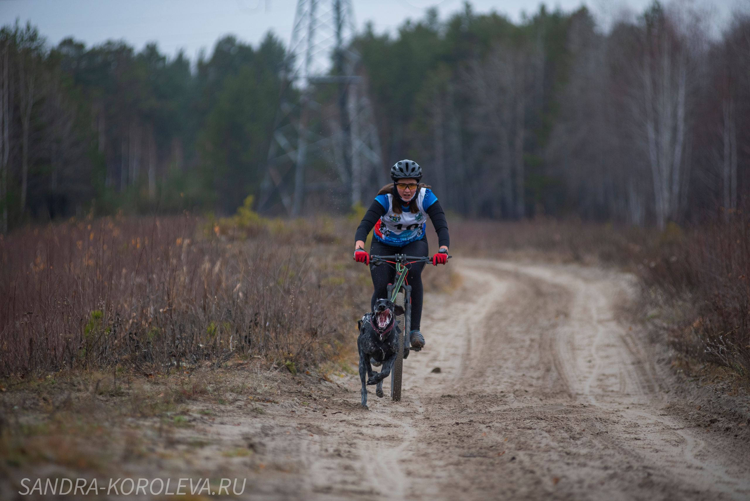 Спринт-гонка «Закрытие сезона» 24.10.2021. Дог-фотограф в Тюмени Александра Королева