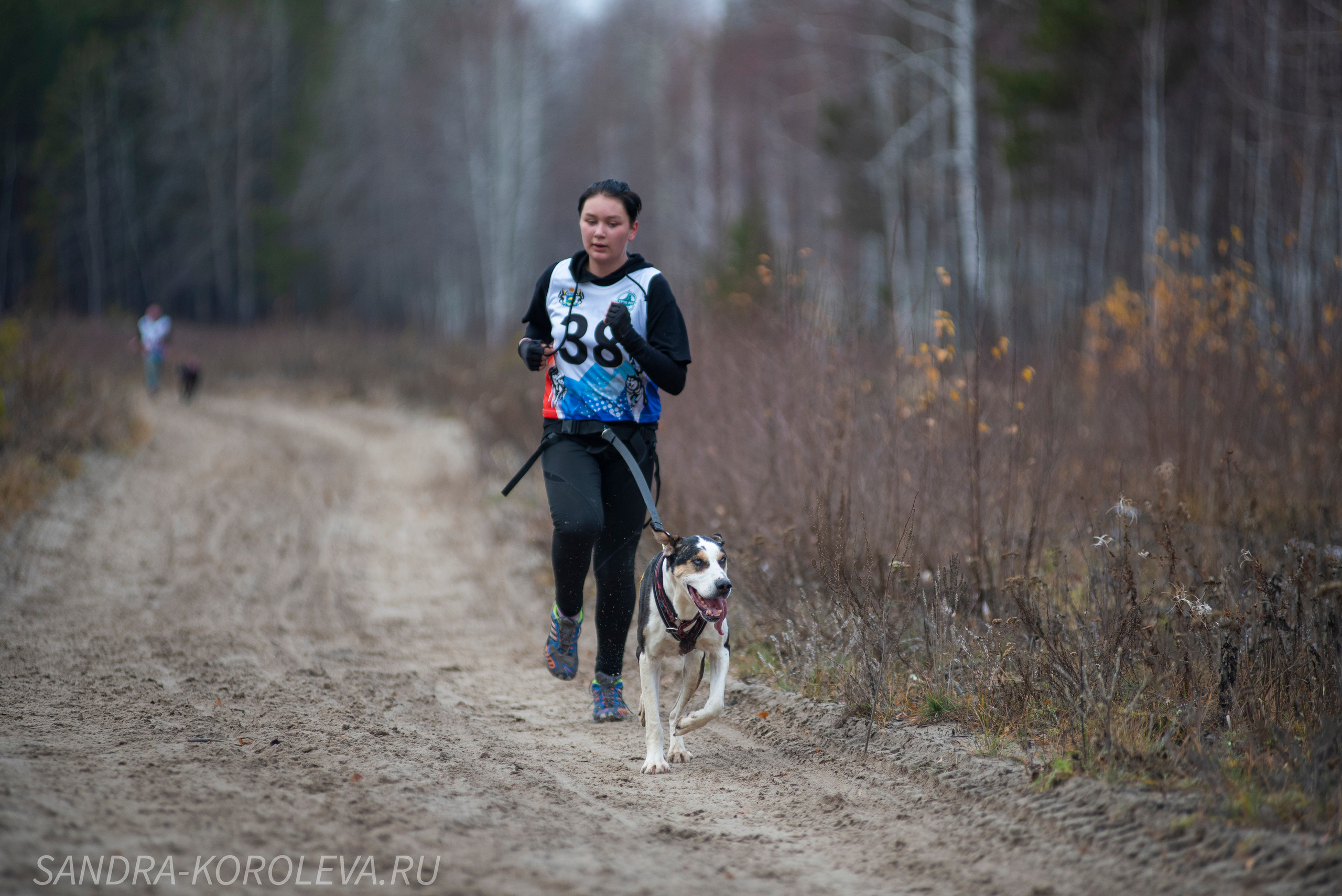 Спринт-гонка «Закрытие сезона» 24.10.2021. Дог-фотограф в Тюмени Александра Королева