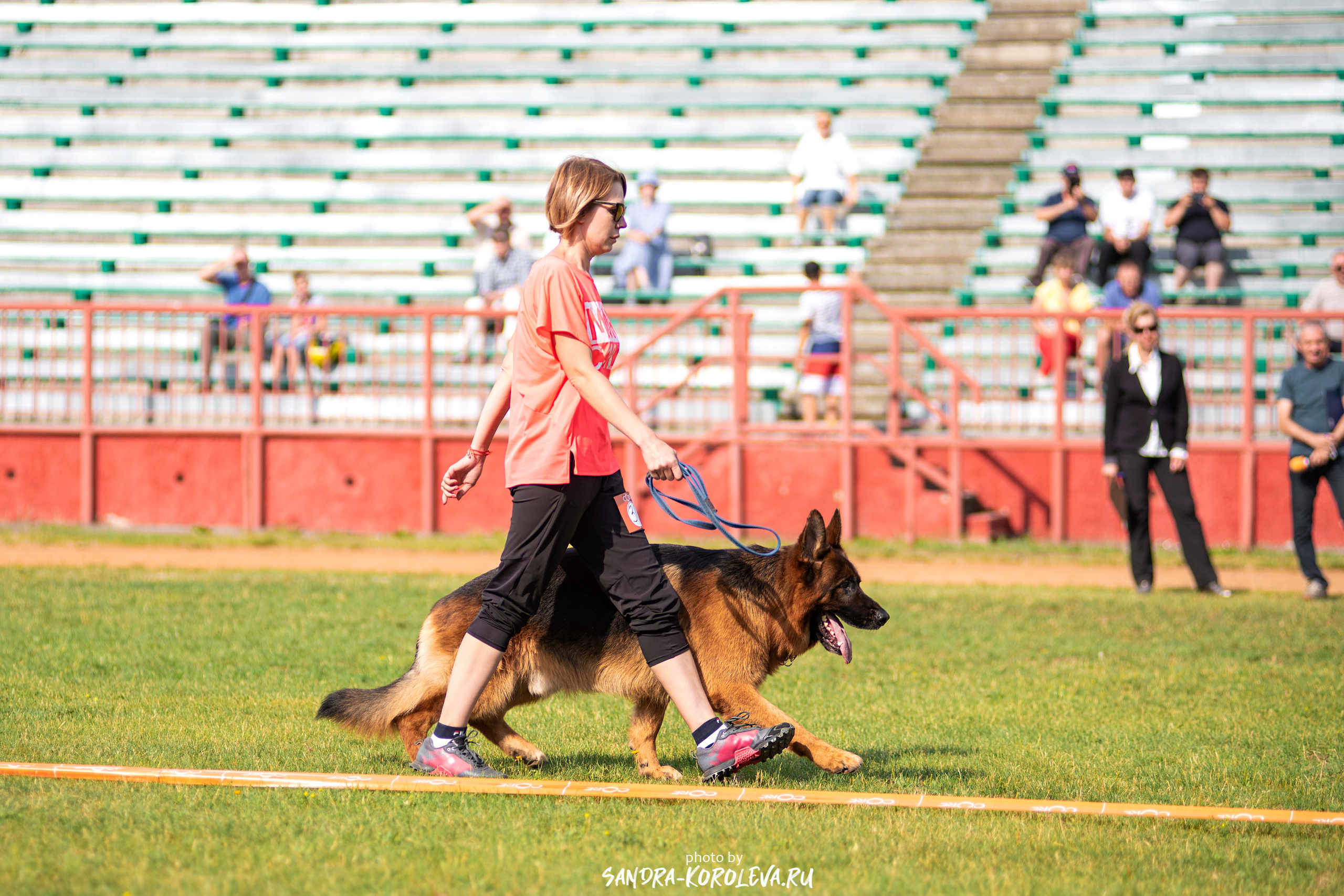Монопородная выставка немецких овчарок, г. Заречный 2021. Дог-фотограф в Тюмени Александра Королева