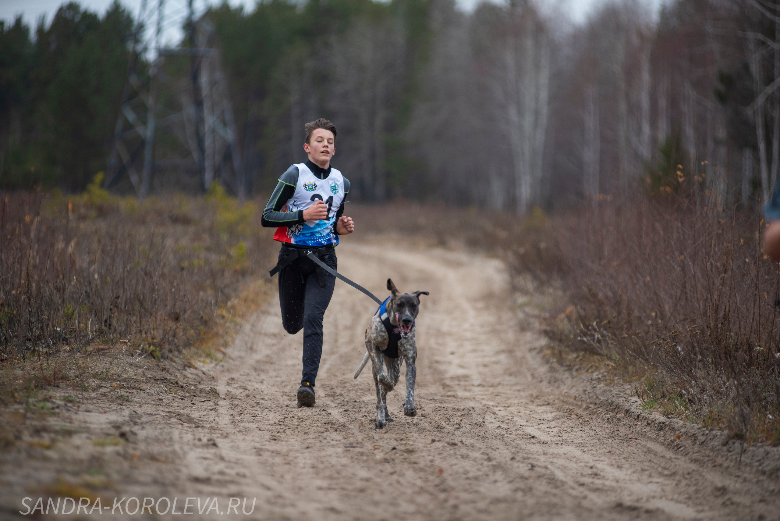 Спринт-гонка «Закрытие сезона» 24.10.2021. Дог-фотограф в Тюмени Александра Королева