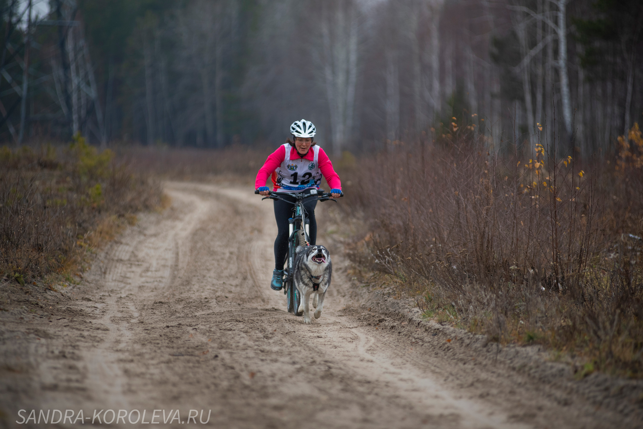 Спринт-гонка «Закрытие сезона» 24.10.2021. Дог-фотограф в Тюмени Александра Королева