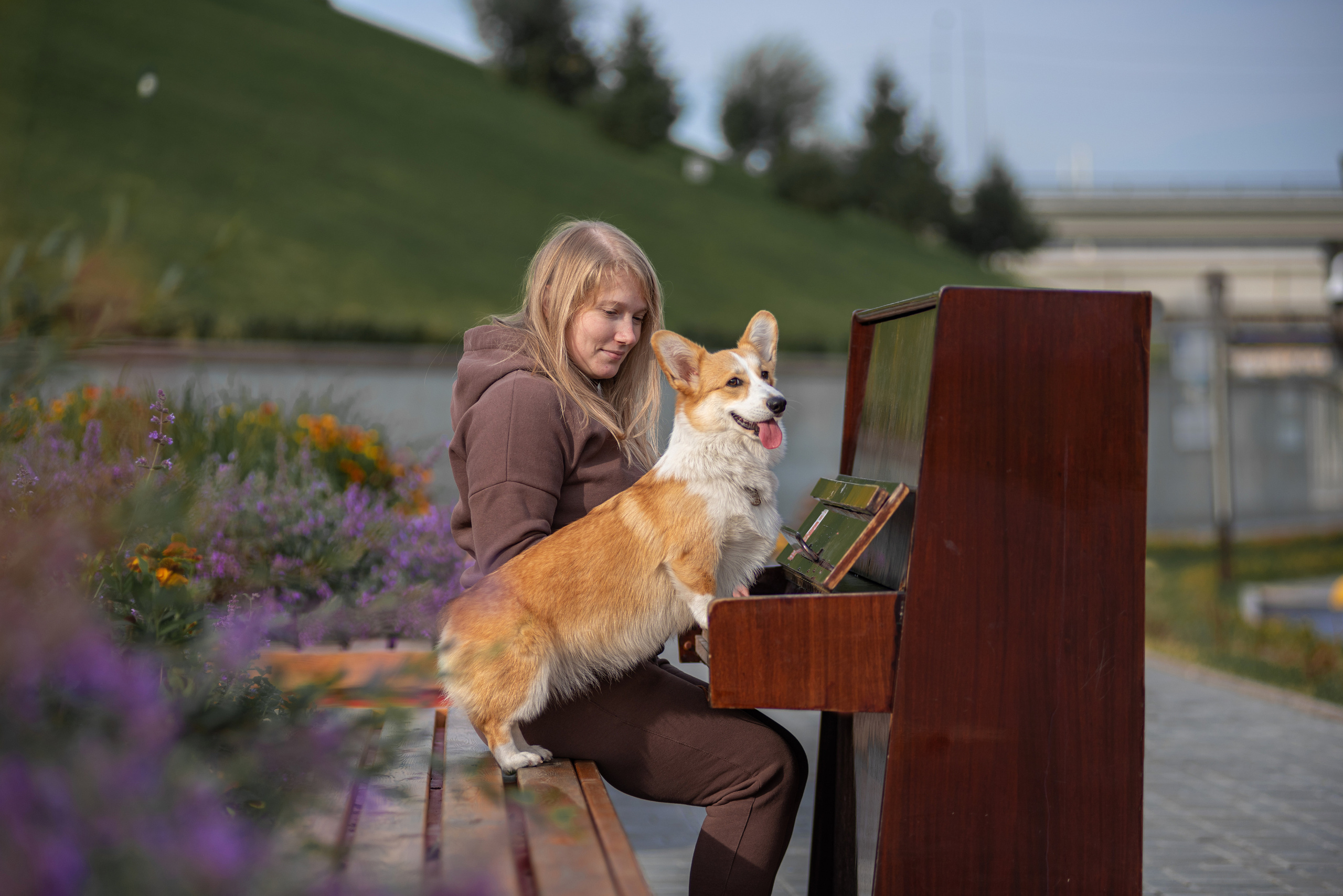Ася и Плюша. Дог-фотограф в Тюмени Александра Королева
