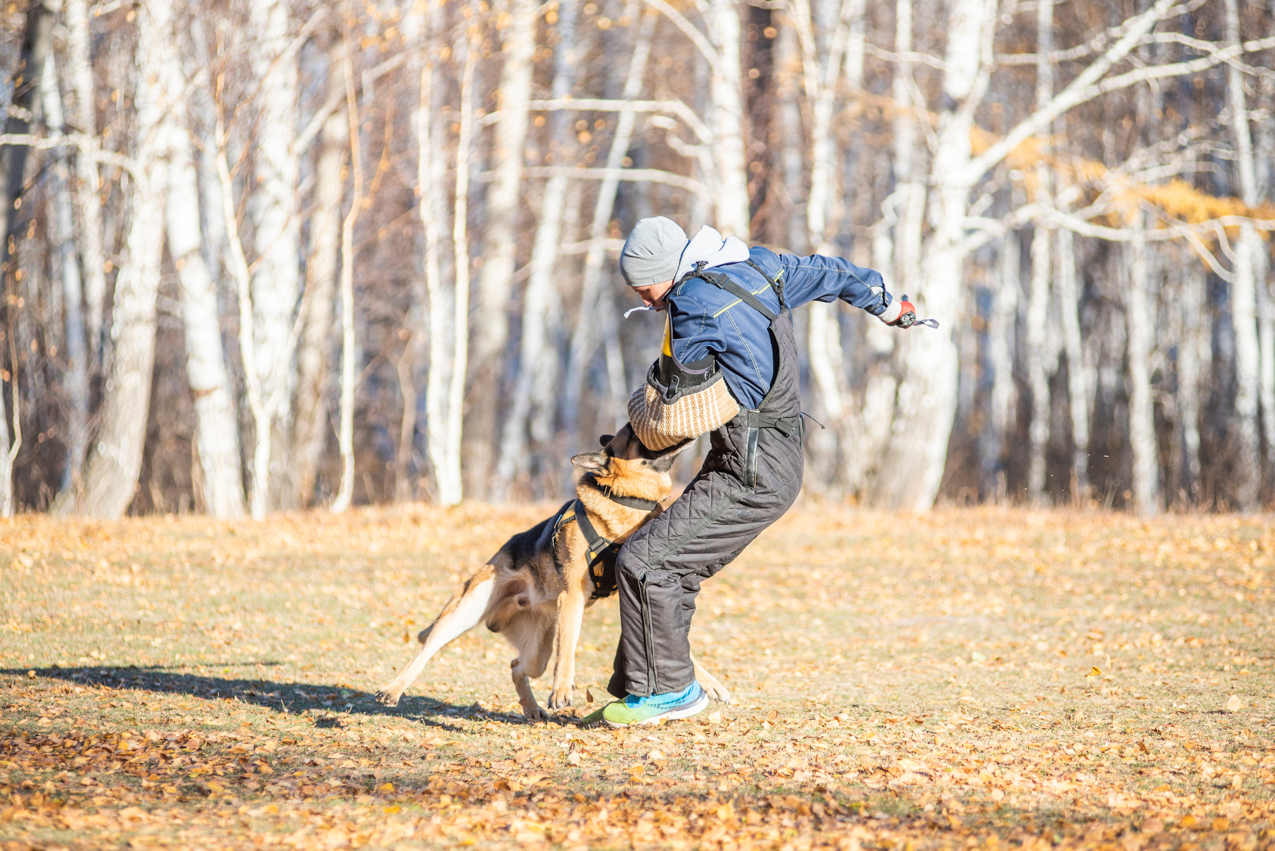 RUSSIAN HELPERS SCHOOL. Магнитогорск октябрь 2021. Дог-фотограф в Тюмени Александра Королева