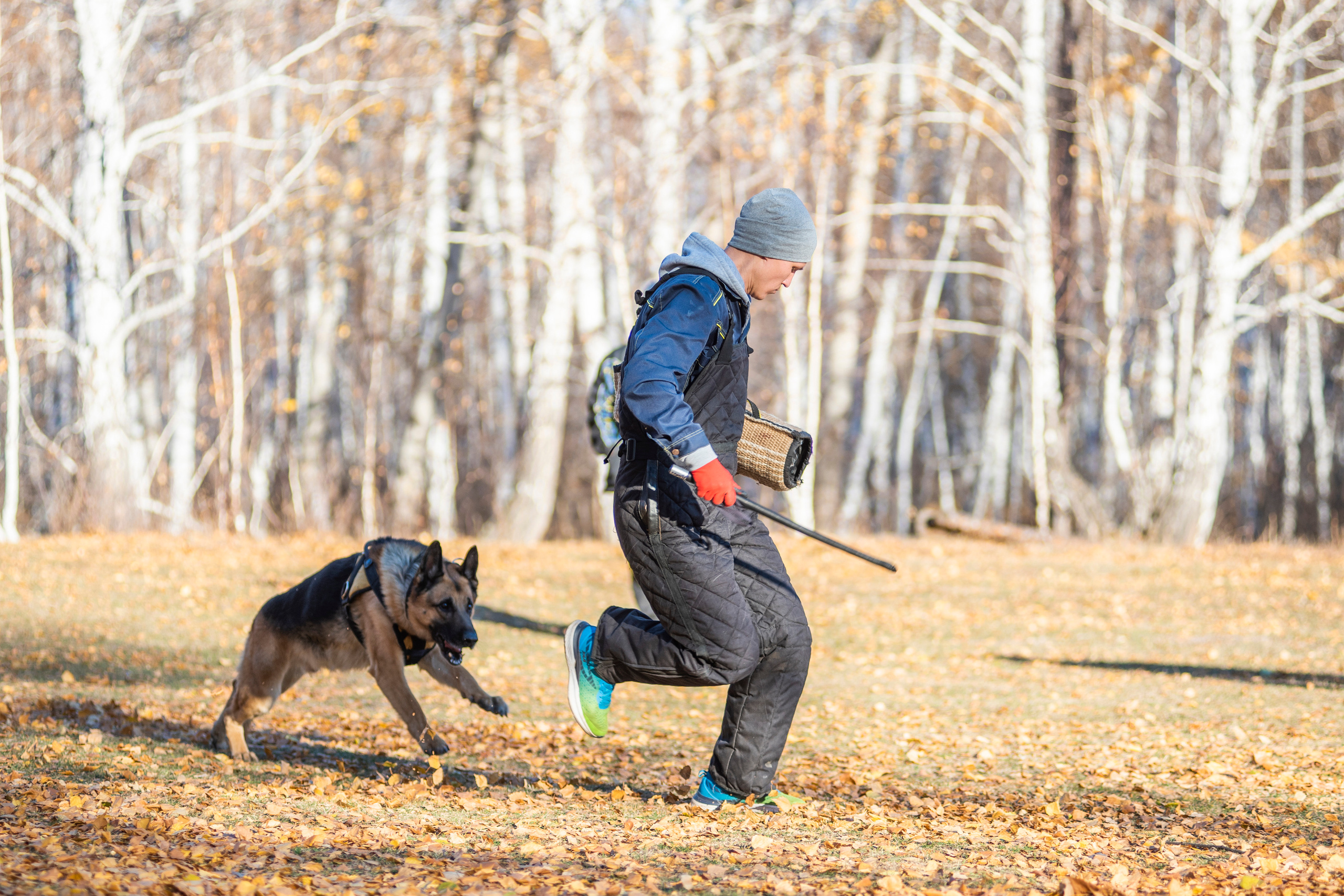 RUSSIAN HELPERS SCHOOL. Магнитогорск октябрь 2021. Дог-фотограф в Тюмени Александра Королева