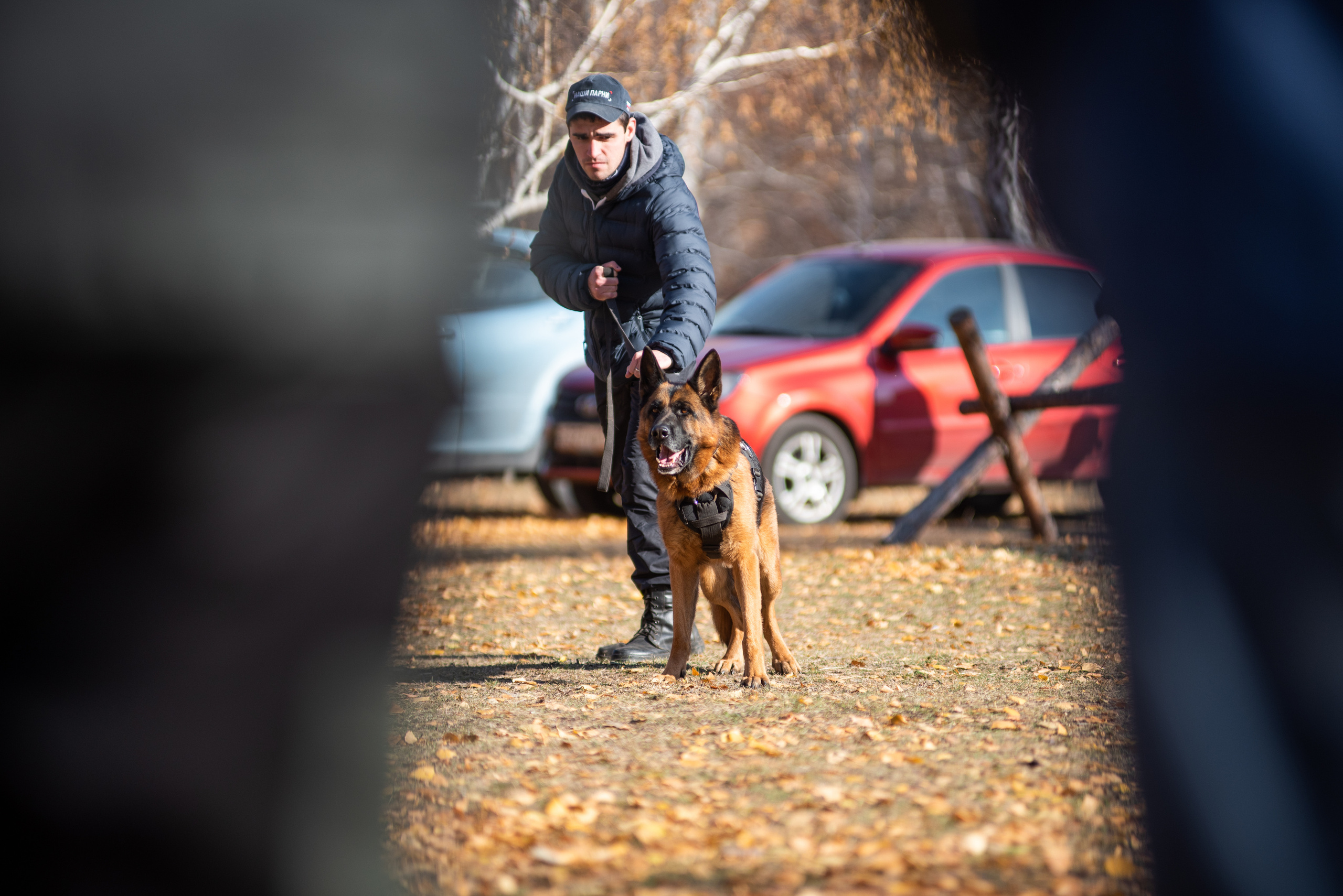 RUSSIAN HELPERS SCHOOL. Магнитогорск октябрь 2021. Дог-фотограф в Тюмени Александра Королева