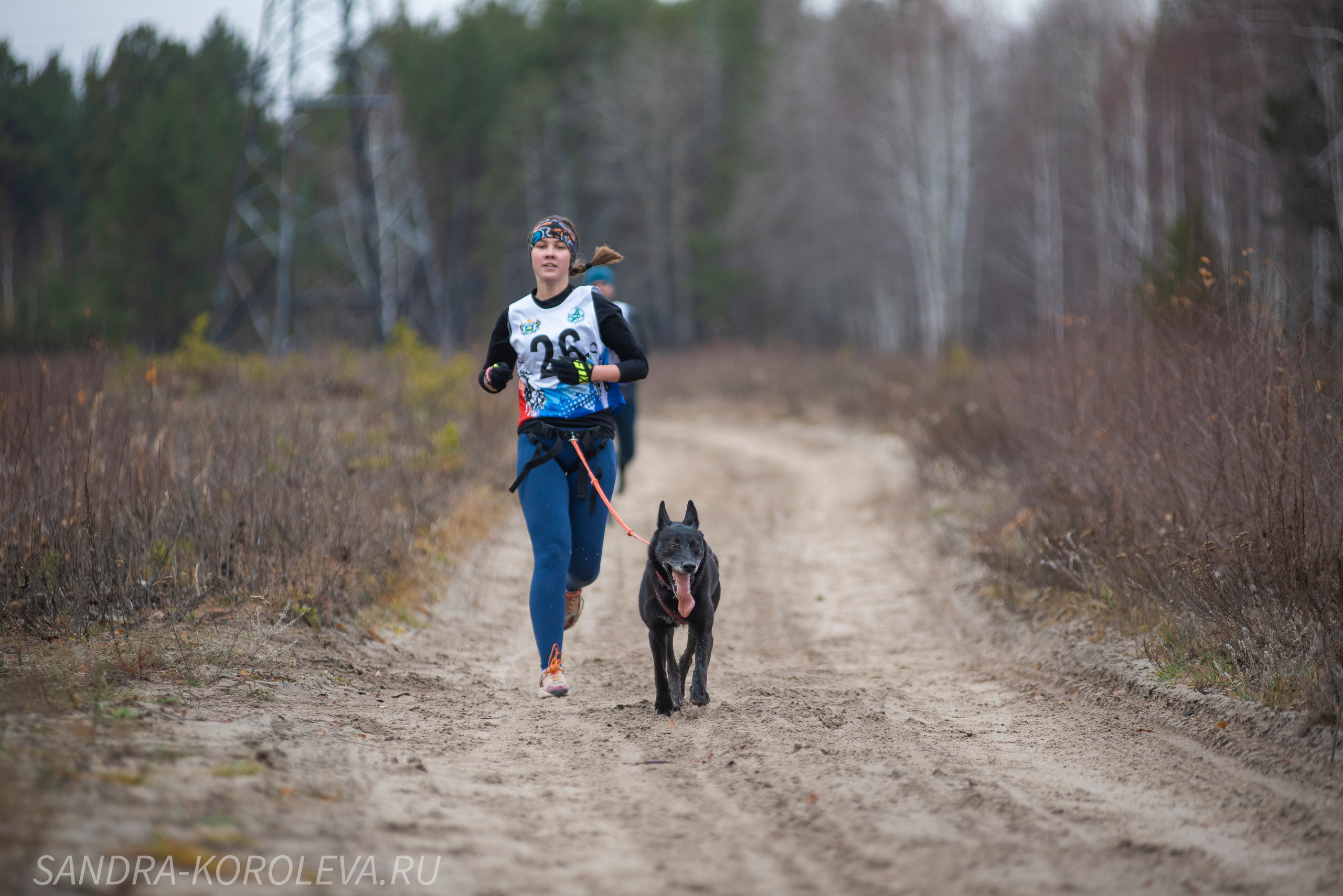 Спринт-гонка «Закрытие сезона» 24.10.2021. Дог-фотограф в Тюмени Александра Королева