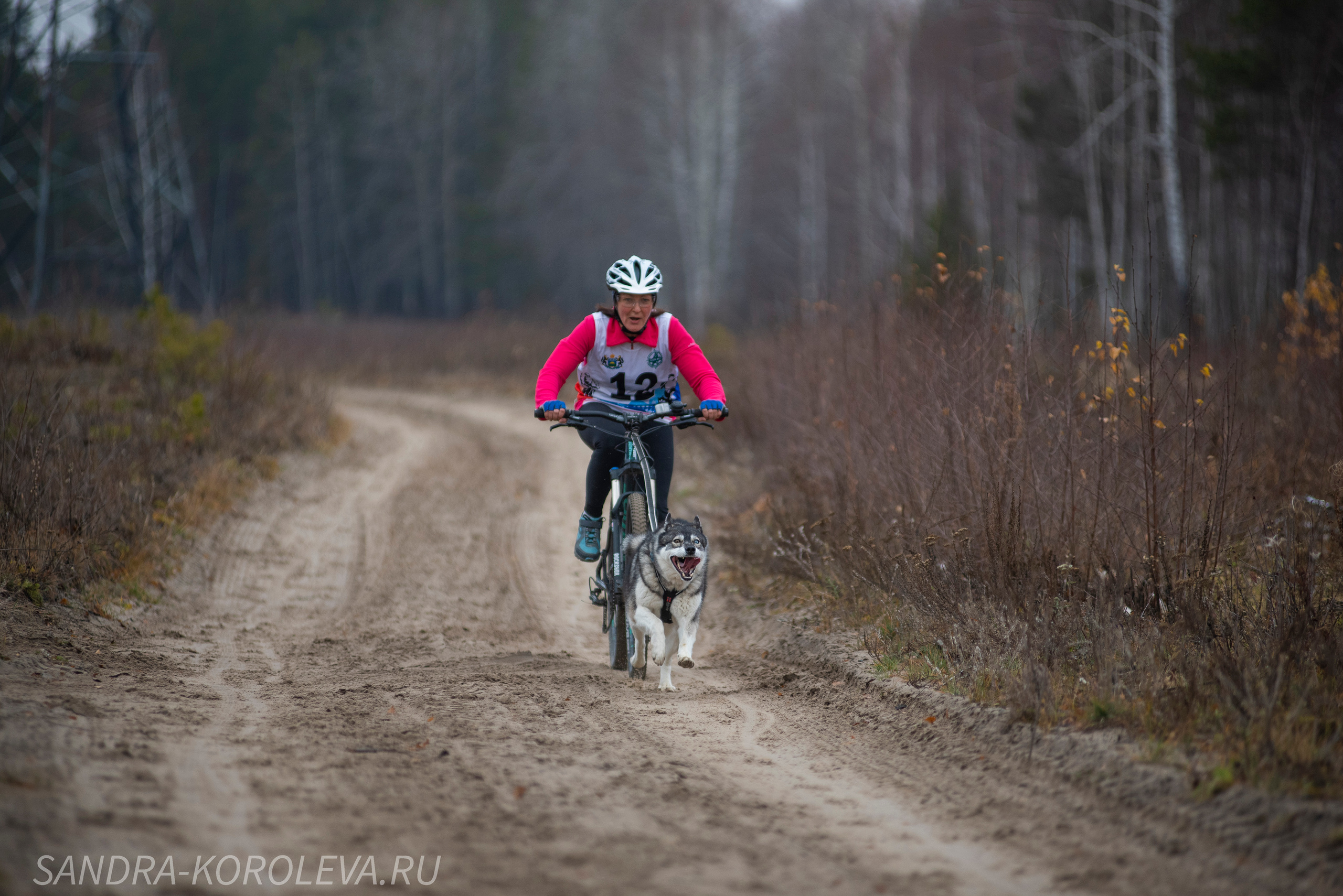 Спринт-гонка «Закрытие сезона» 24.10.2021. Дог-фотограф в Тюмени Александра Королева