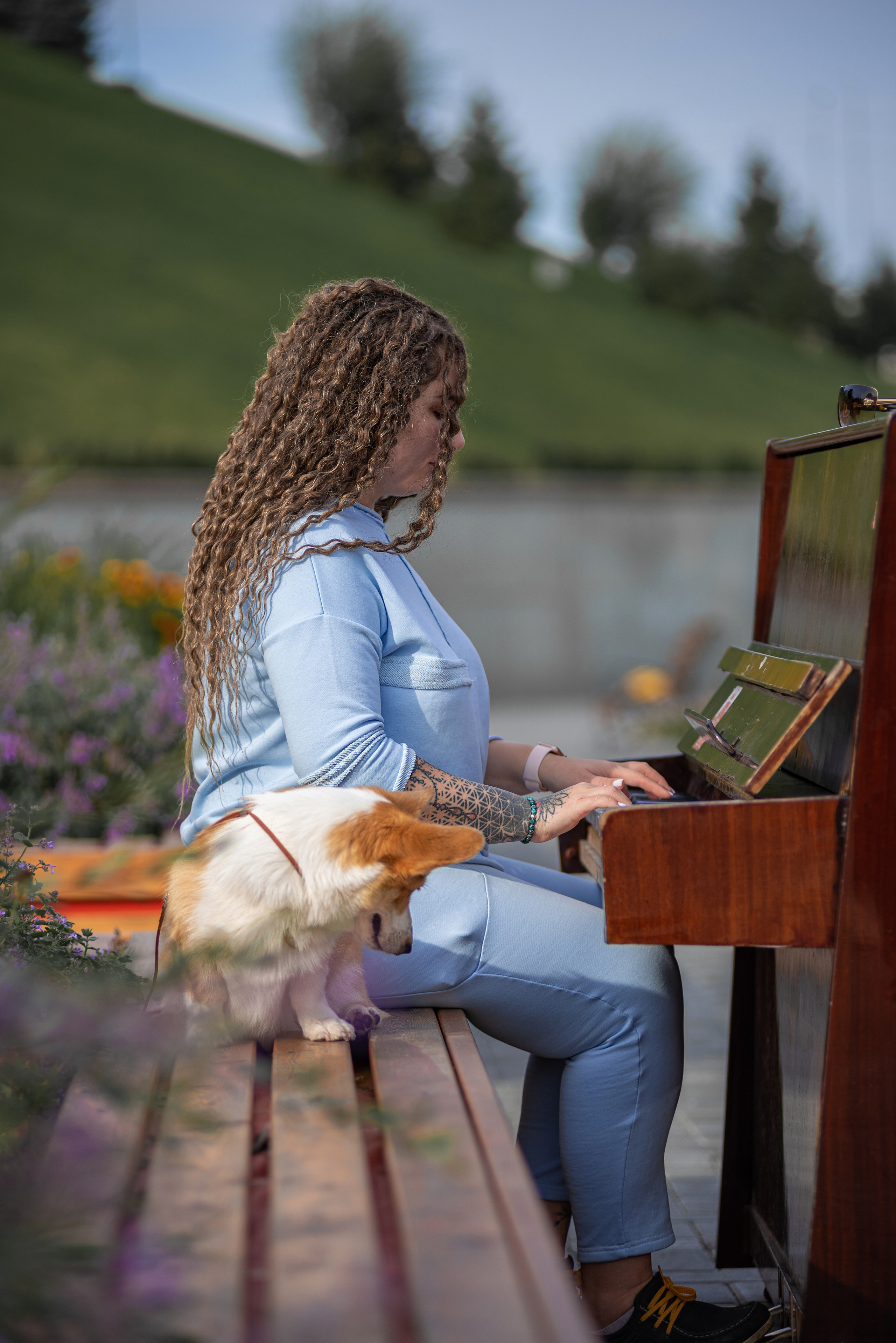 Ася и Плюша. Дог-фотограф в Тюмени Александра Королева