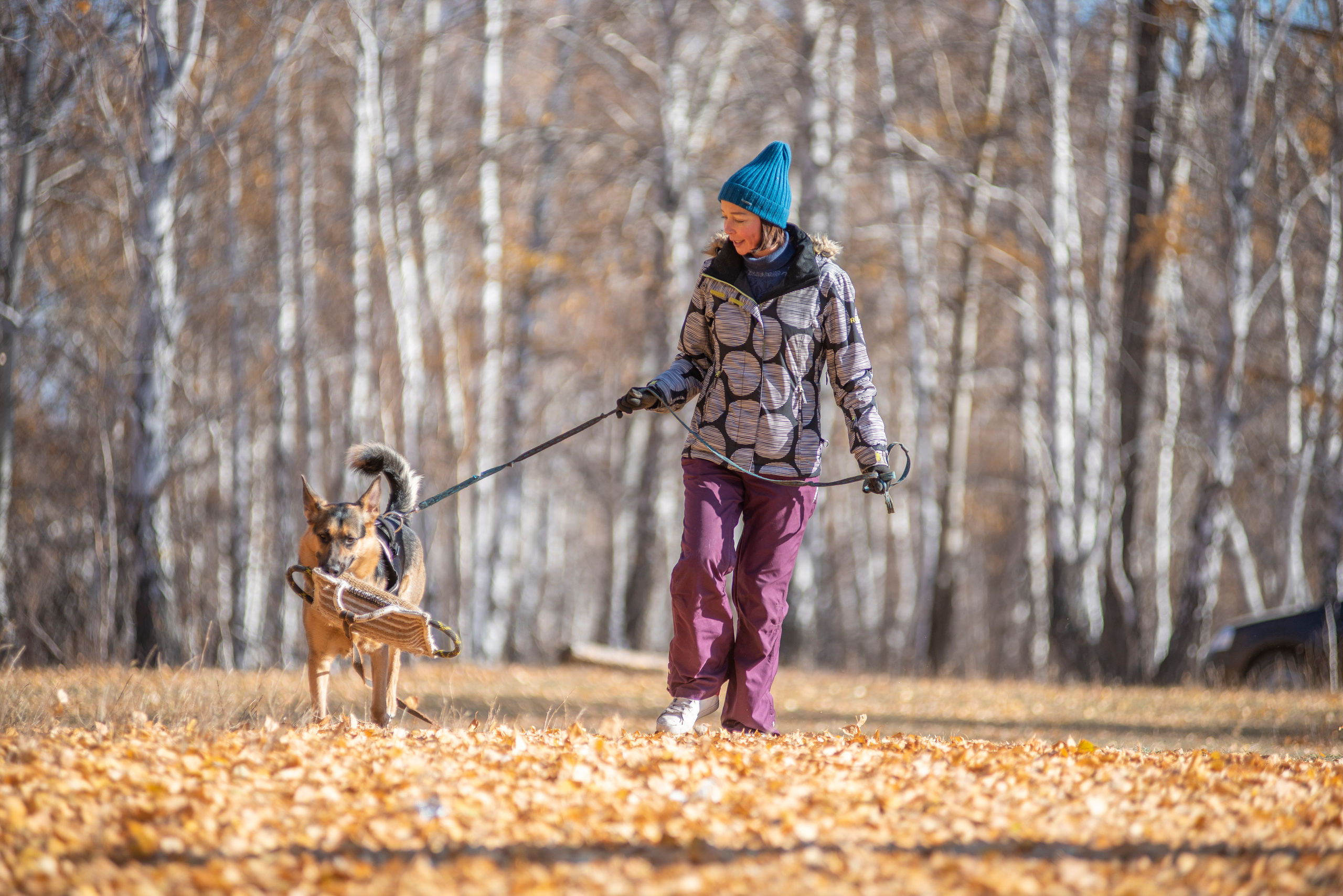 RUSSIAN HELPERS SCHOOL. Магнитогорск октябрь 2021. Дог-фотограф в Тюмени Александра Королева