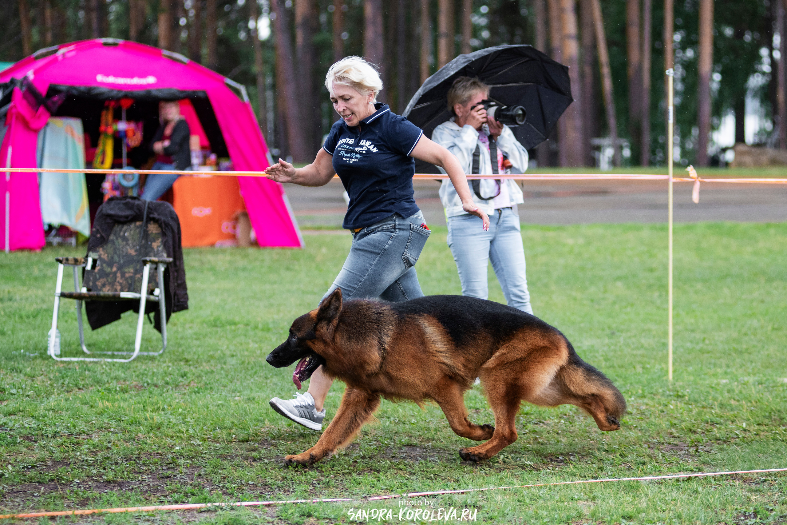 Монопородная выставка немецких овчарок, г. Заречный 2021. Дог-фотограф в Тюмени Александра Королева