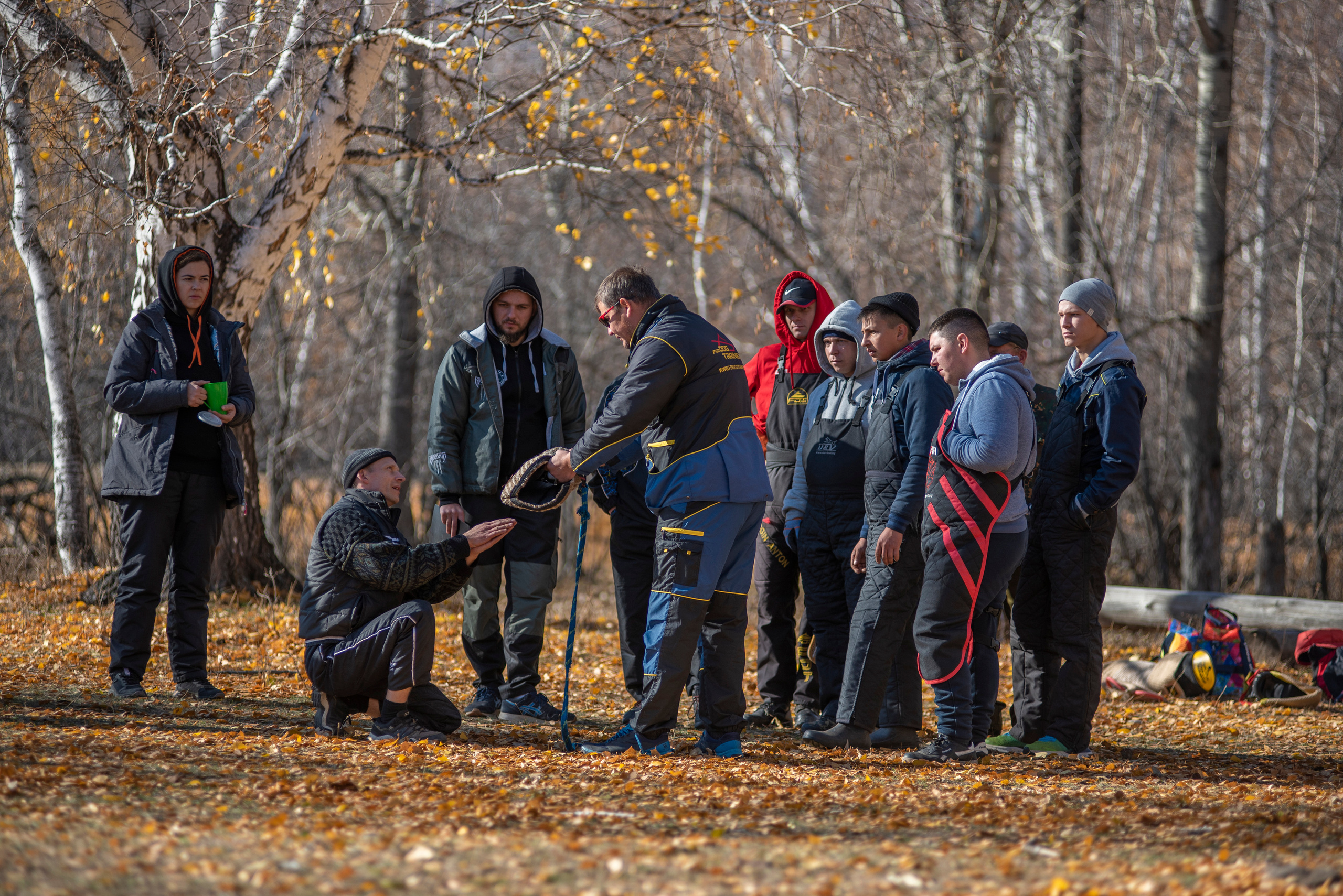 RUSSIAN HELPERS SCHOOL. Магнитогорск октябрь 2021. Дог-фотограф в Тюмени Александра Королева