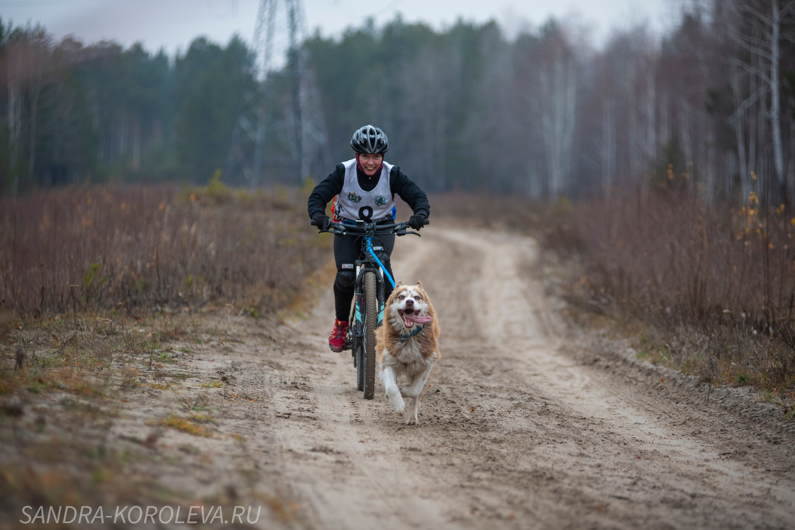 Спринт-гонка «Закрытие сезона» 24.10.2021. Дог-фотограф в Тюмени Александра Королева