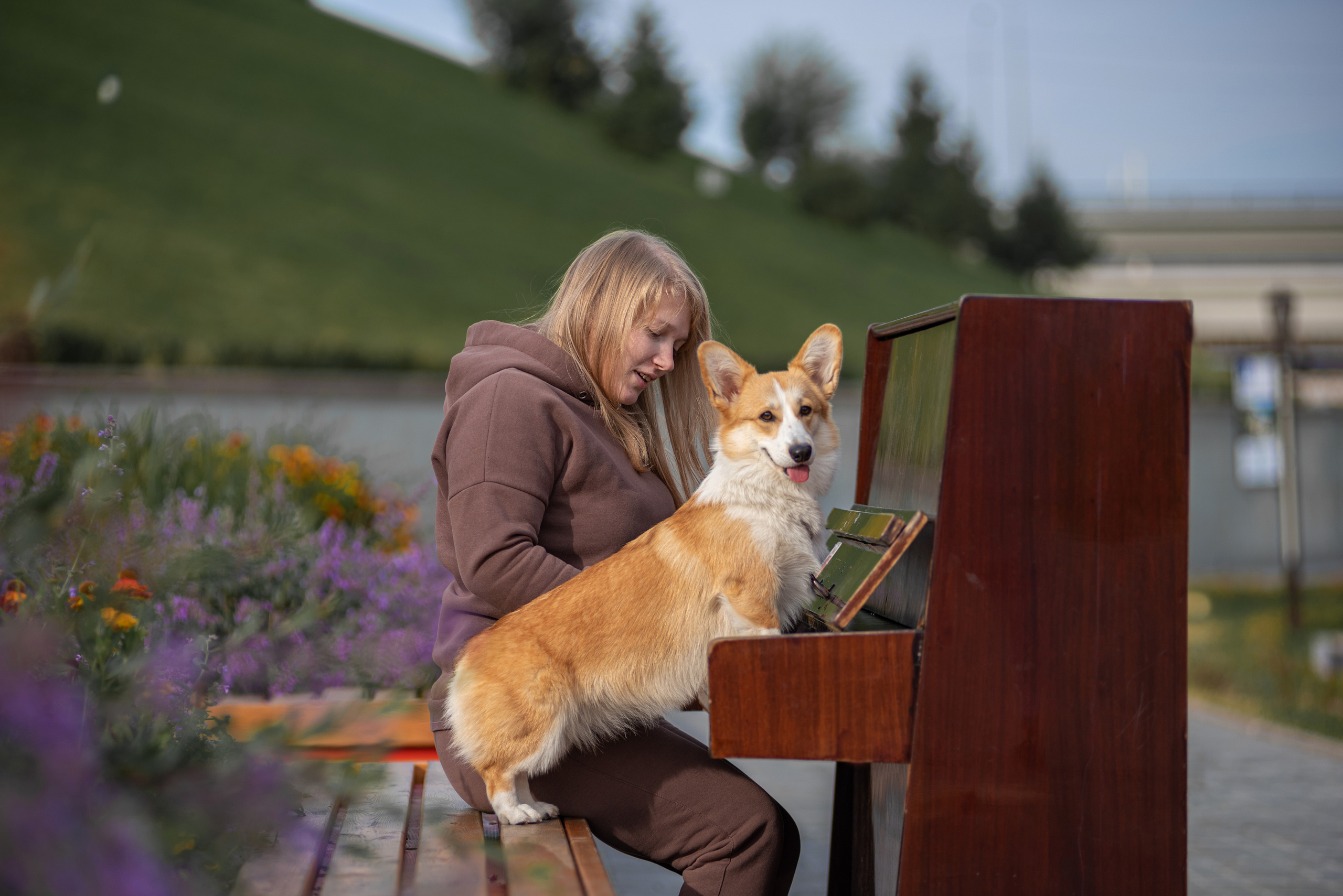 Ася и Плюша. Дог-фотограф в Тюмени Александра Королева