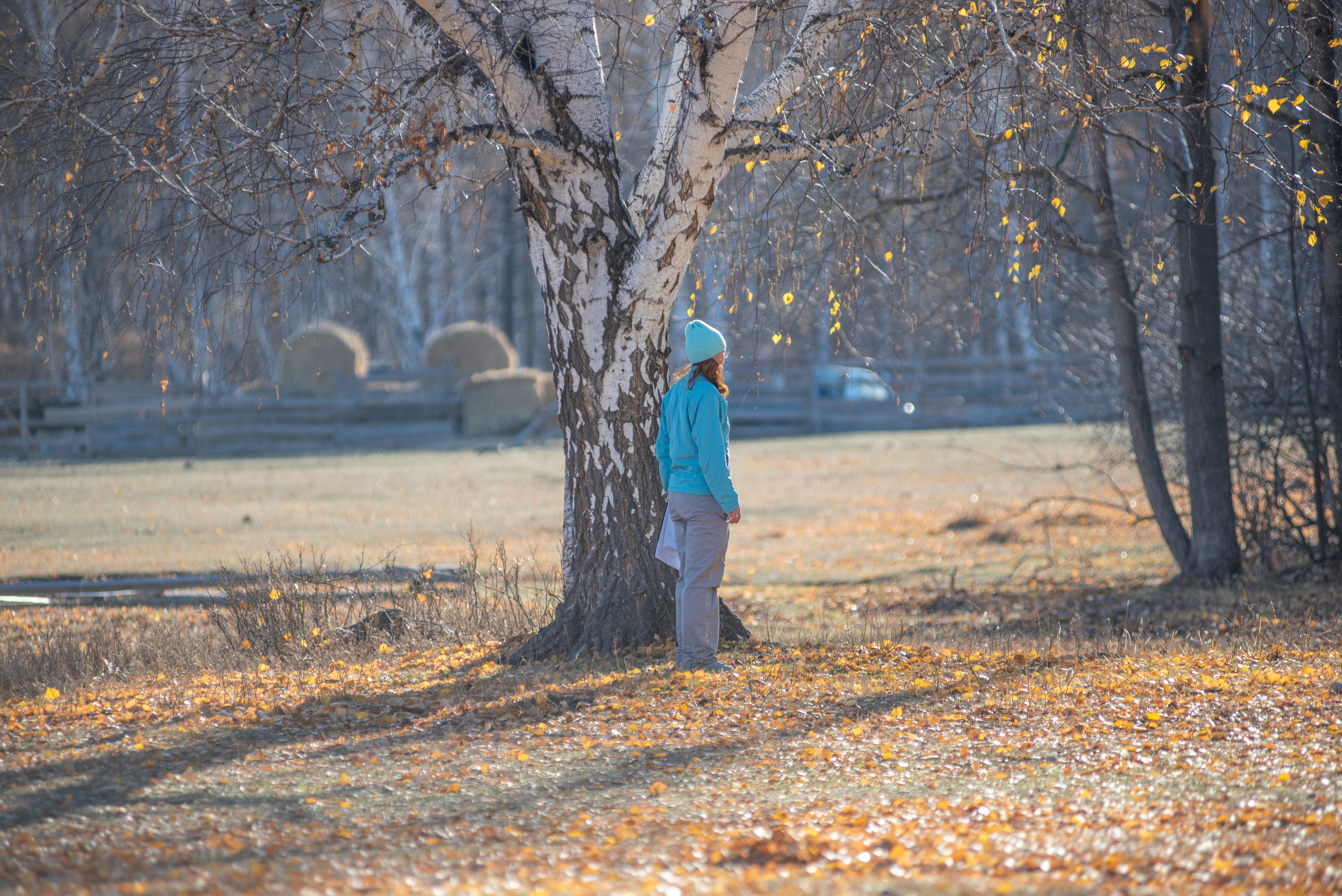 RUSSIAN HELPERS SCHOOL. Магнитогорск октябрь 2021. Дог-фотограф в Тюмени Александра Королева