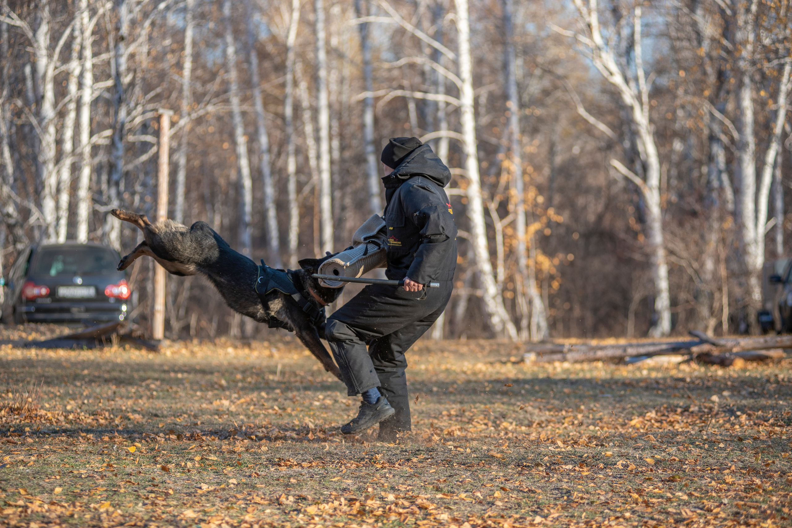 RUSSIAN HELPERS SCHOOL. Магнитогорск октябрь 2021. Дог-фотограф в Тюмени Александра Королева