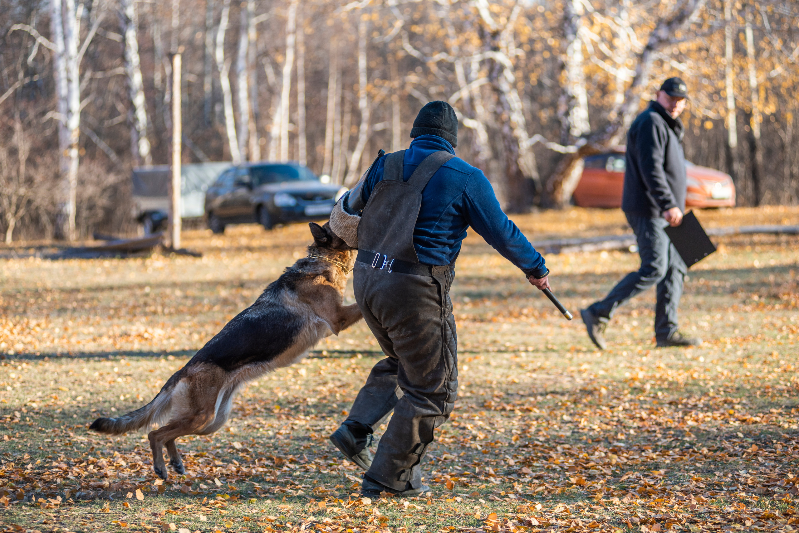 RUSSIAN HELPERS SCHOOL. Магнитогорск октябрь 2021. Дог-фотограф в Тюмени Александра Королева