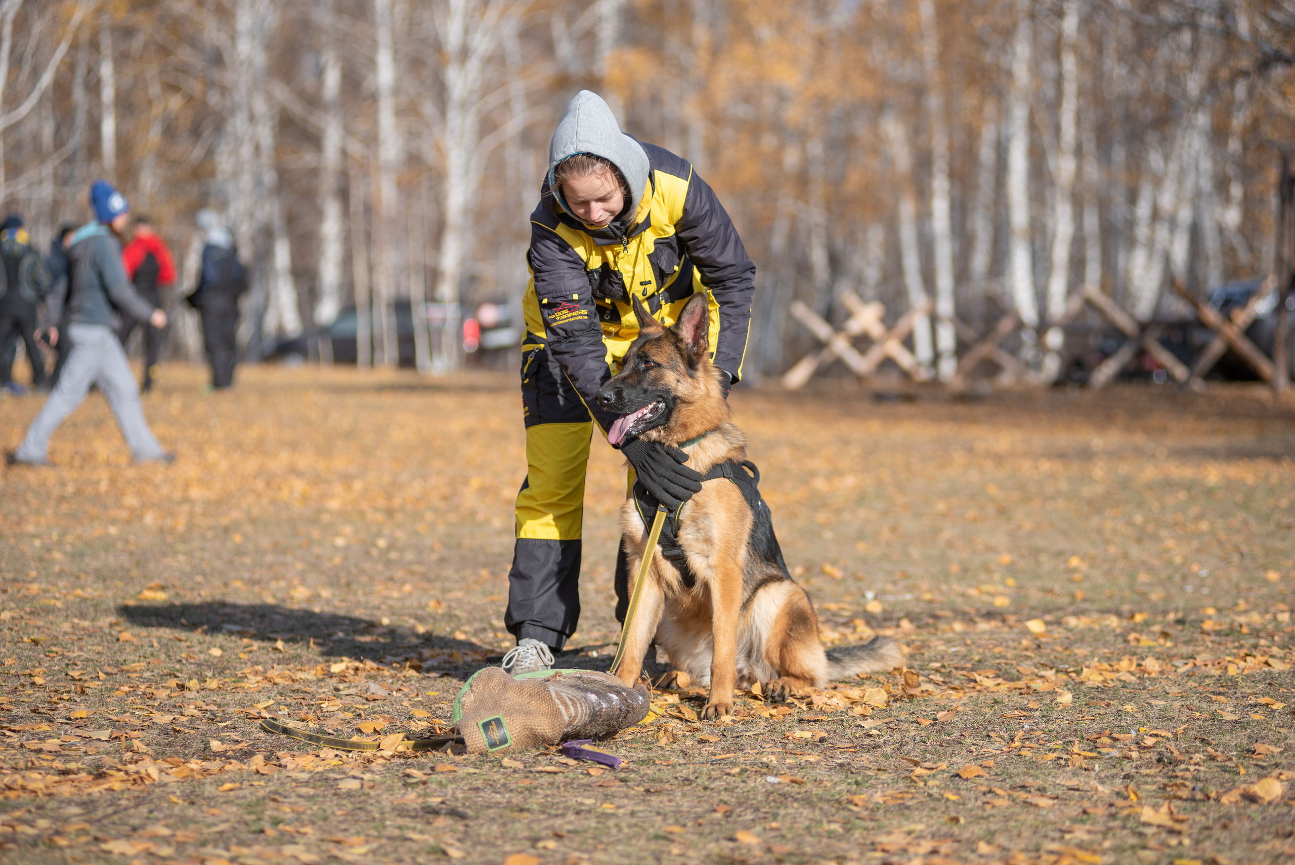 RUSSIAN HELPERS SCHOOL. Магнитогорск октябрь 2021. Дог-фотограф в Тюмени Александра Королева