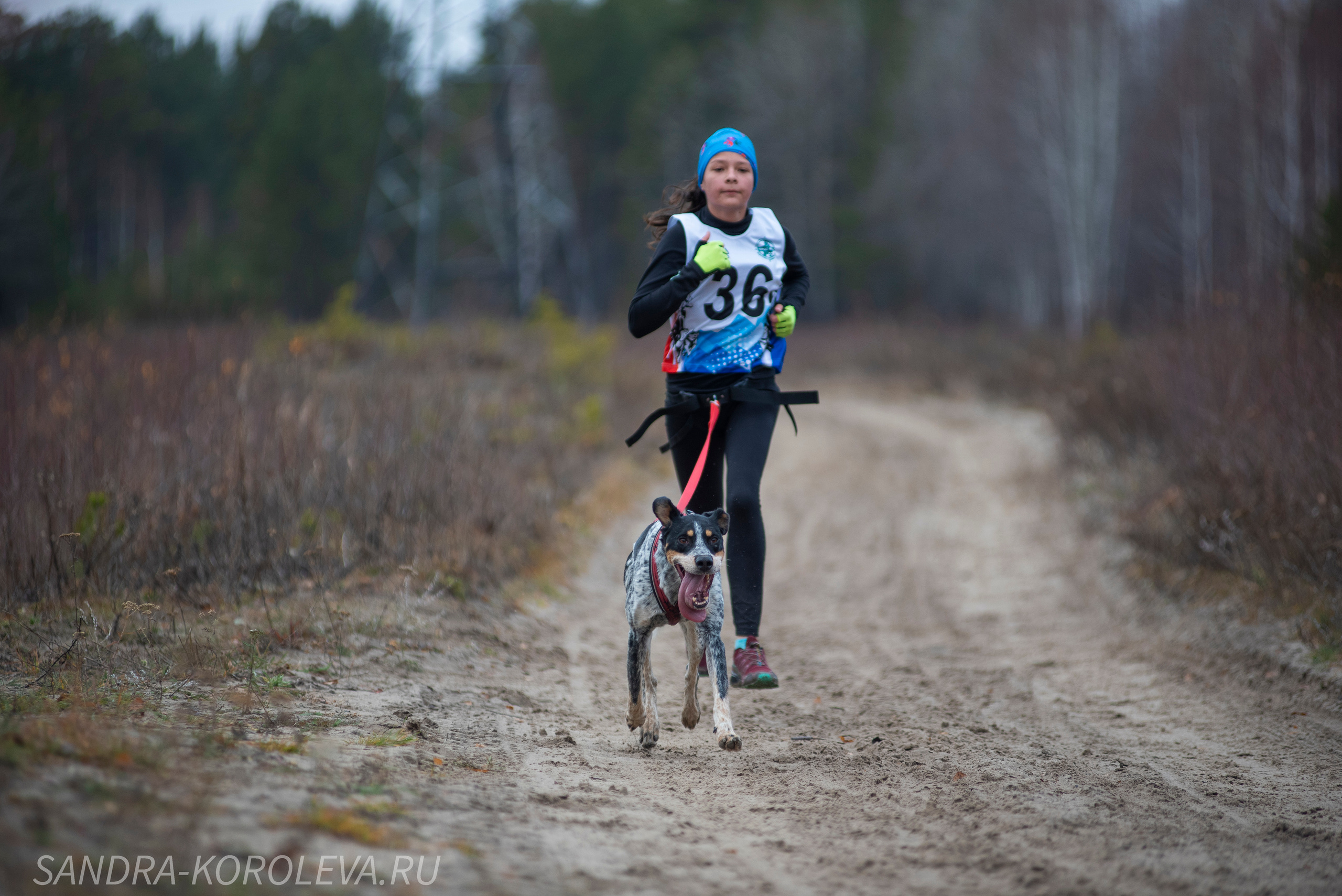 Спринт-гонка «Закрытие сезона» 24.10.2021. Дог-фотограф в Тюмени Александра Королева