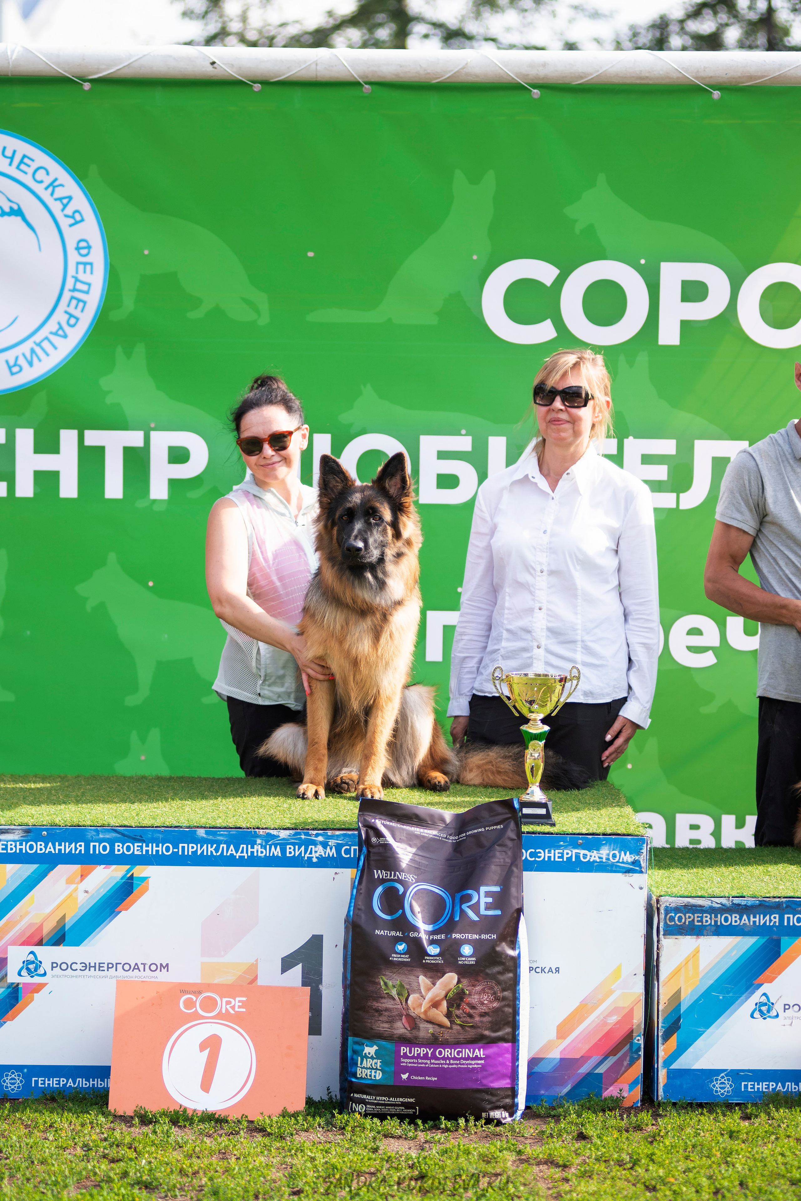 Монопородная выставка немецких овчарок, г. Заречный 2021. Дог-фотограф в Тюмени Александра Королева