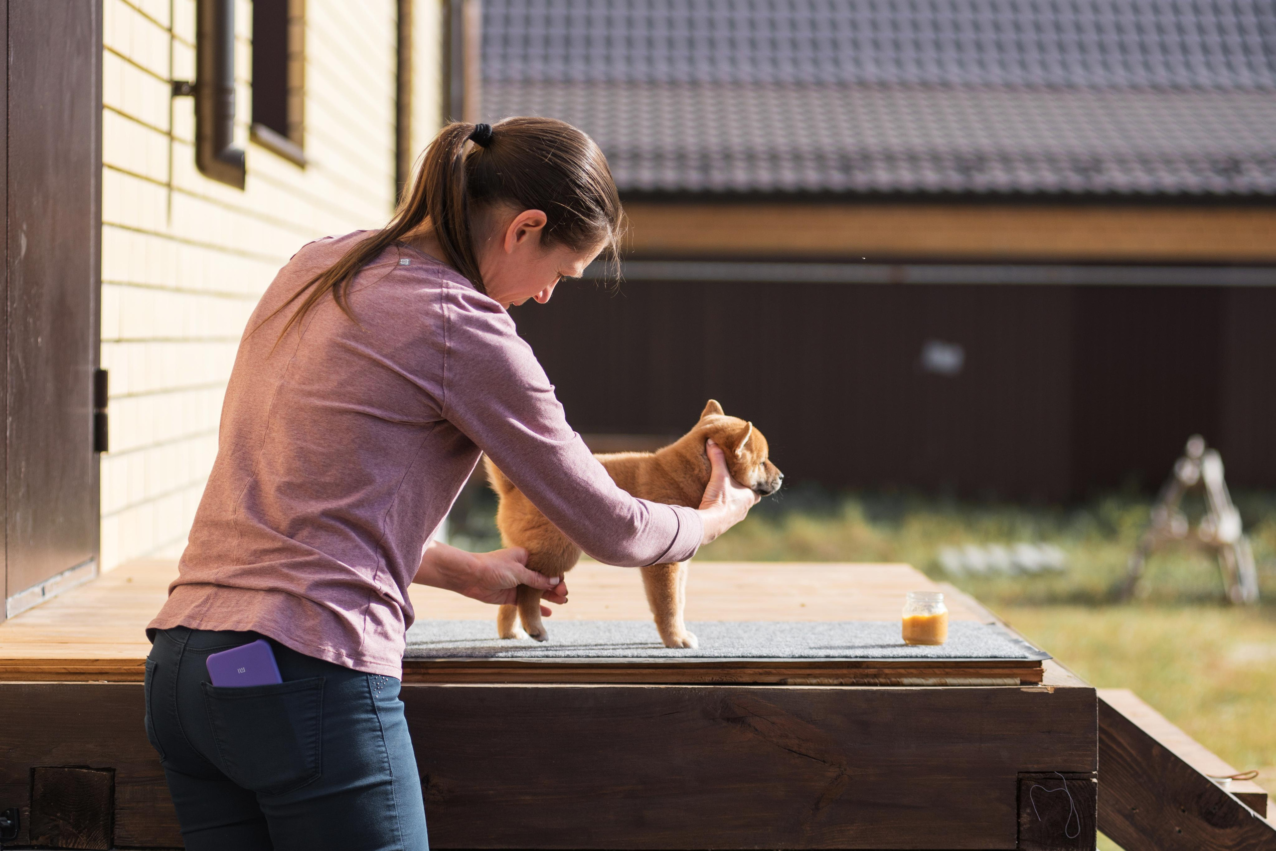Щеночки Сибы. Дог-фотограф в Тюмени Александра Королева