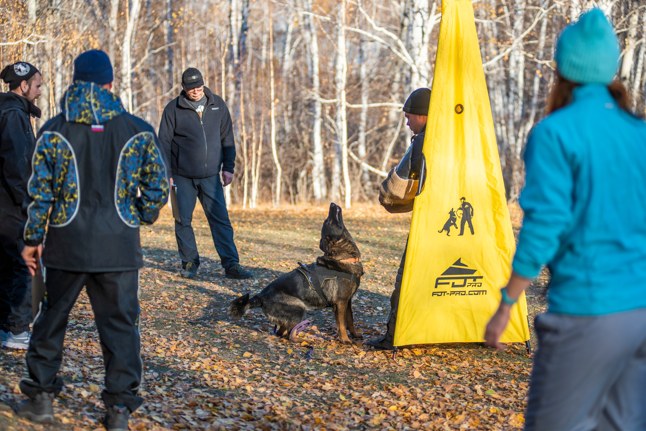 RUSSIAN HELPERS SCHOOL. Магнитогорск октябрь 2021. Дог-фотограф в Тюмени Александра Королева