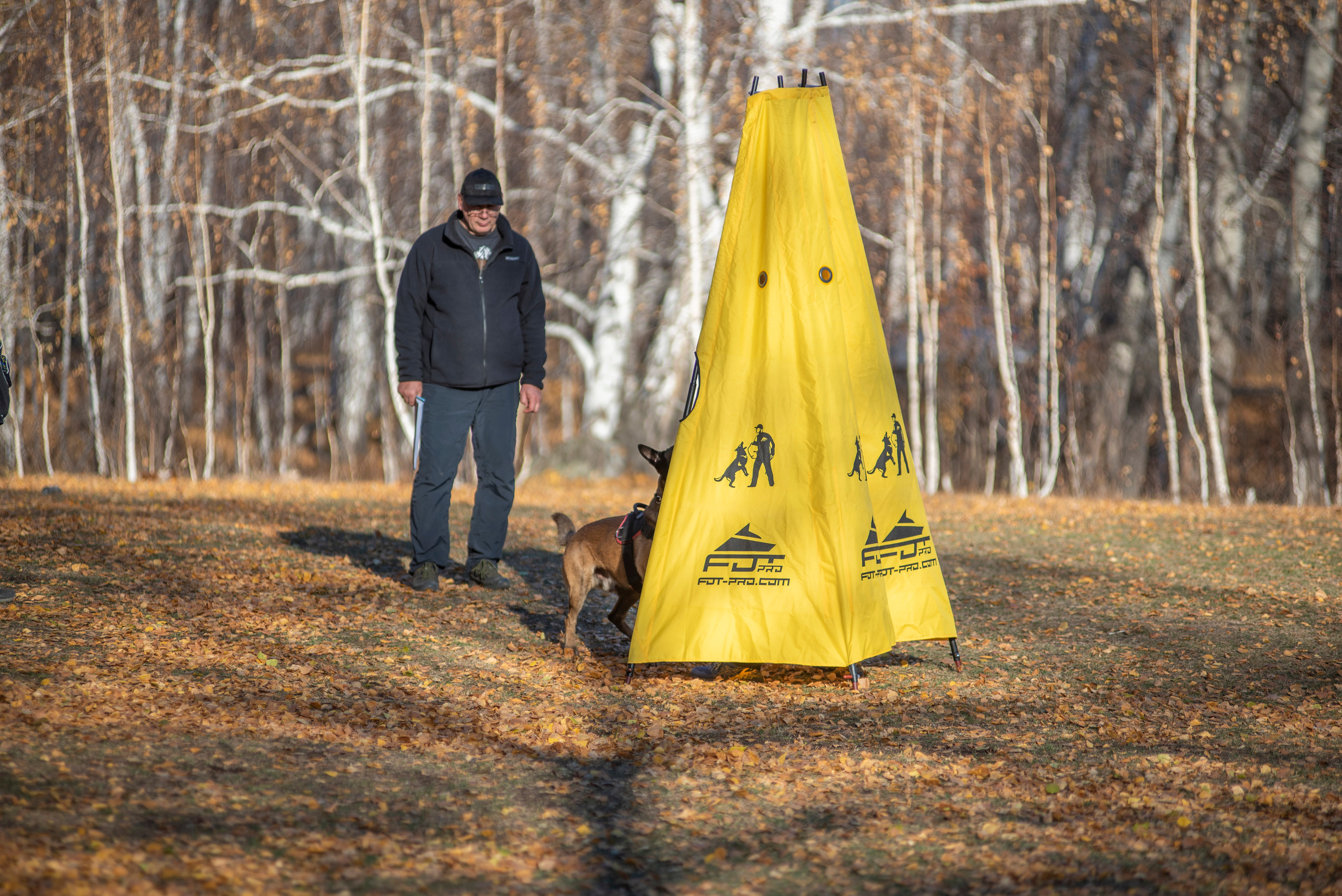 RUSSIAN HELPERS SCHOOL. Магнитогорск октябрь 2021. Дог-фотограф в Тюмени Александра Королева