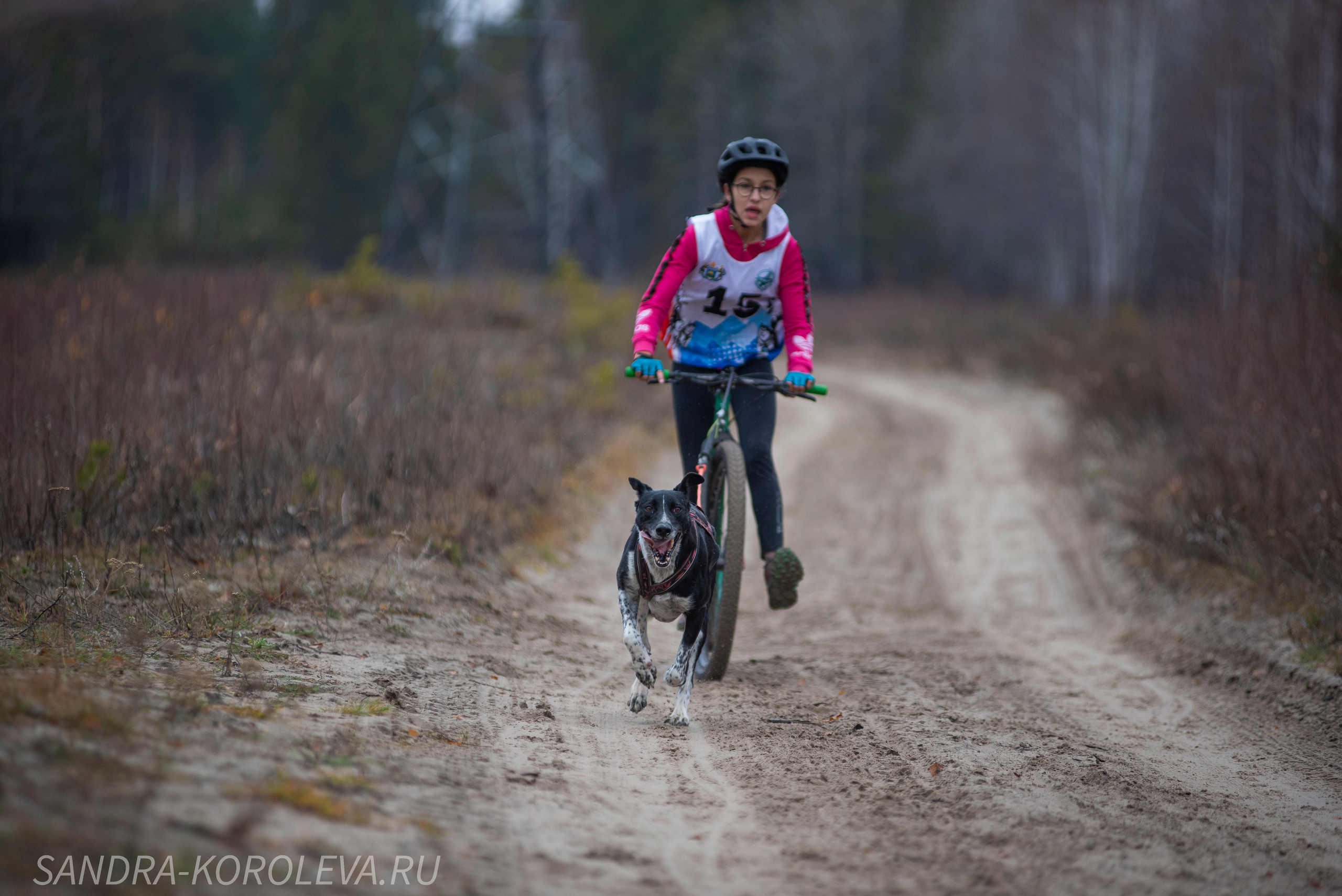 Спринт-гонка «Закрытие сезона» 24.10.2021. Дог-фотограф в Тюмени Александра Королева