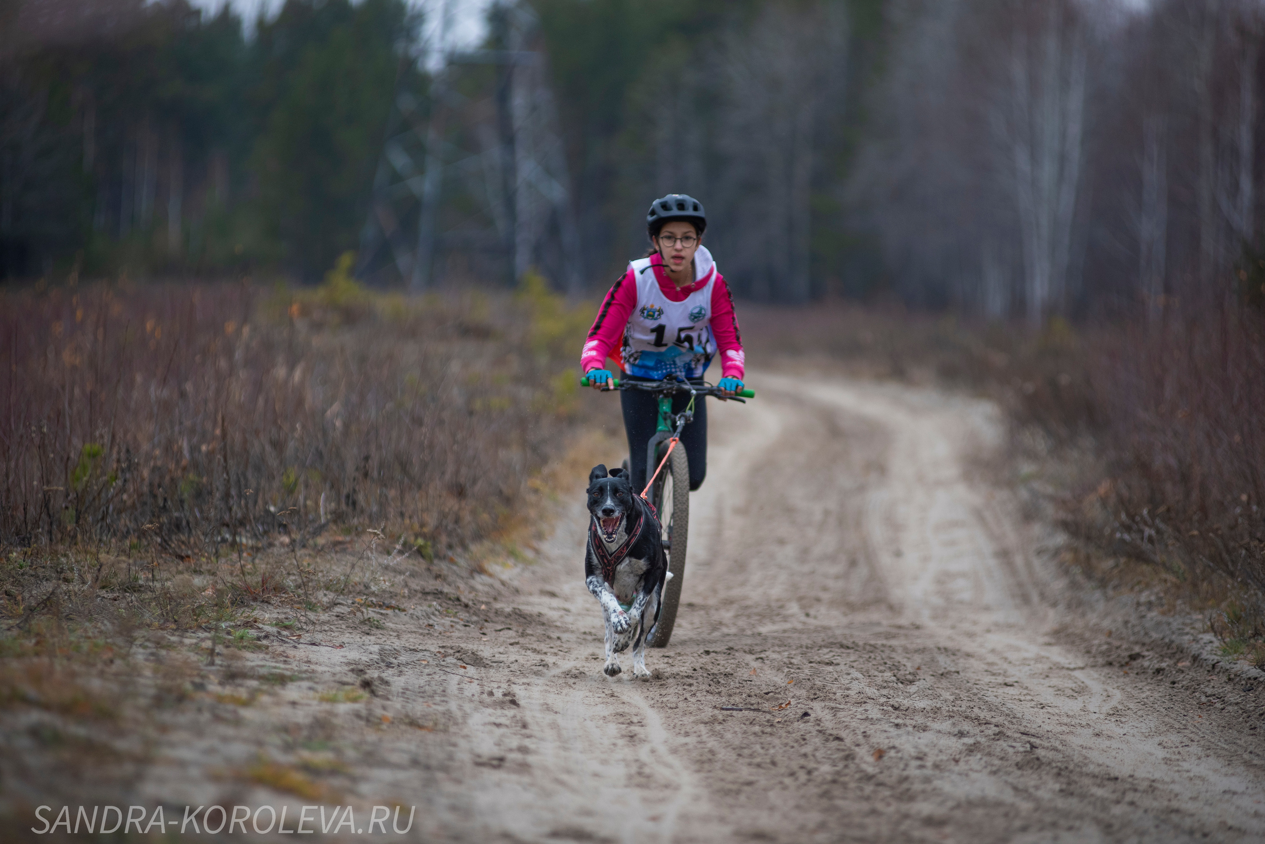 Спринт-гонка «Закрытие сезона» 24.10.2021. Дог-фотограф в Тюмени Александра Королева