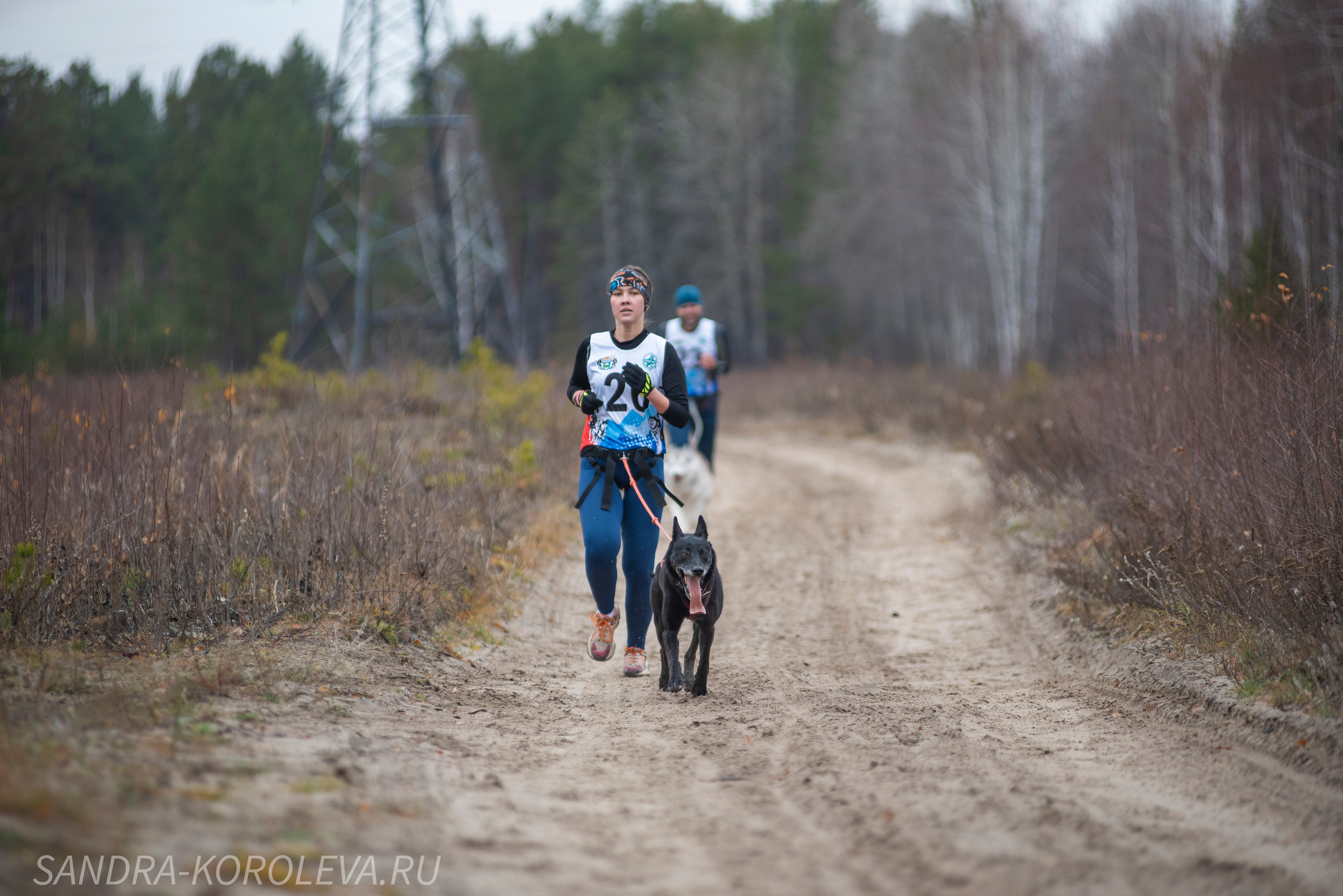 Спринт-гонка «Закрытие сезона» 24.10.2021. Дог-фотограф в Тюмени Александра Королева