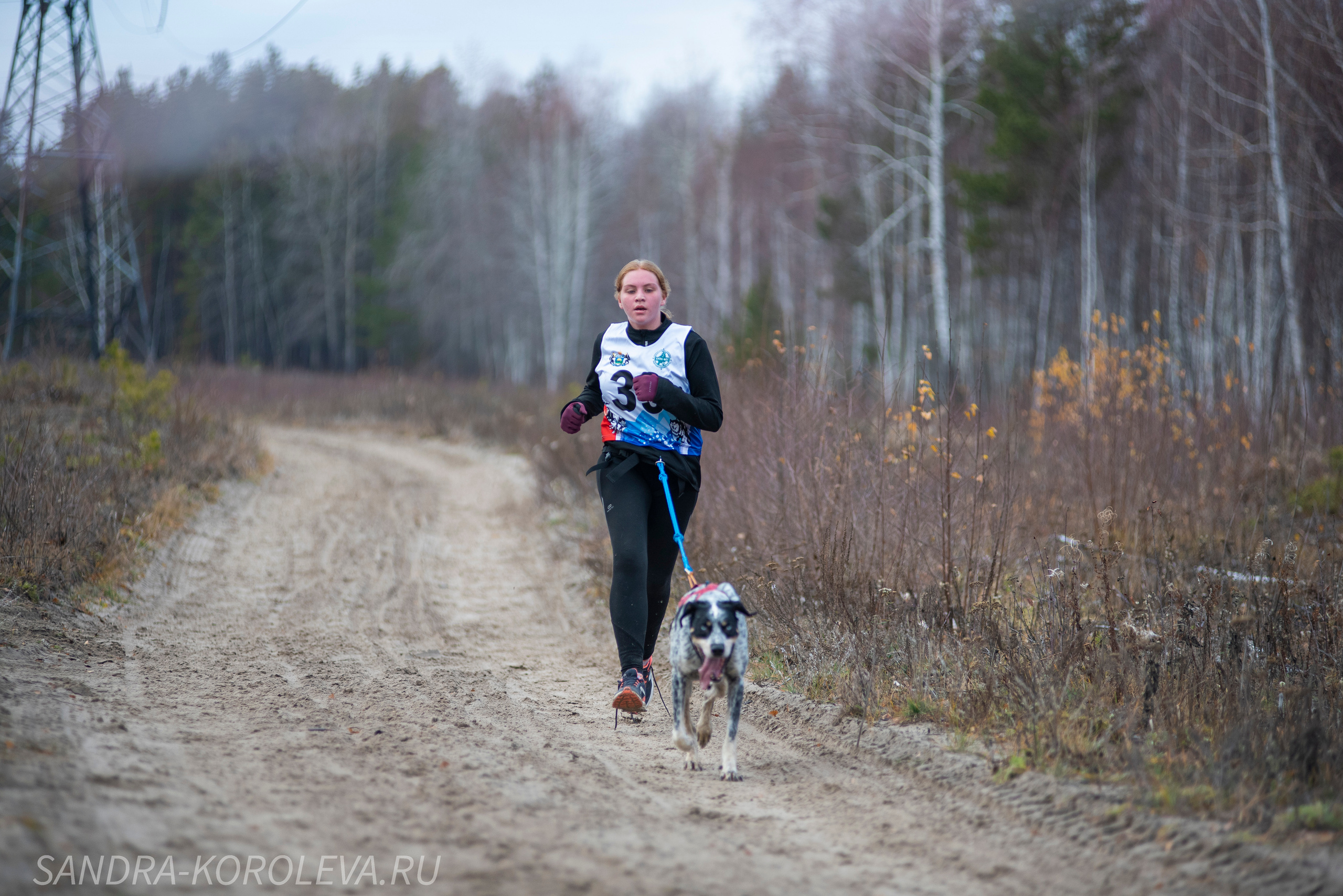 Спринт-гонка «Закрытие сезона» 24.10.2021. Дог-фотограф в Тюмени Александра Королева