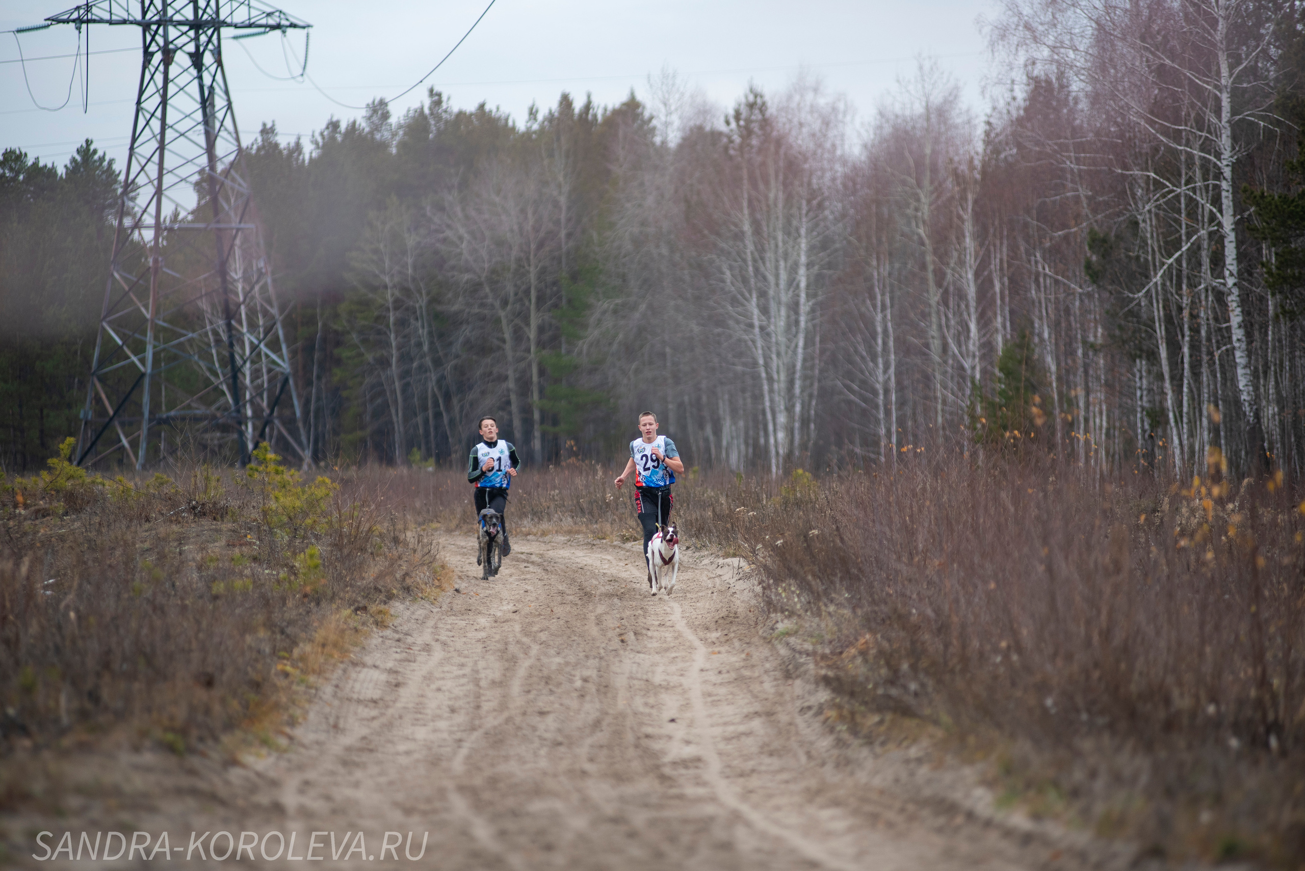 Спринт-гонка «Закрытие сезона» 24.10.2021. Дог-фотограф в Тюмени Александра Королева