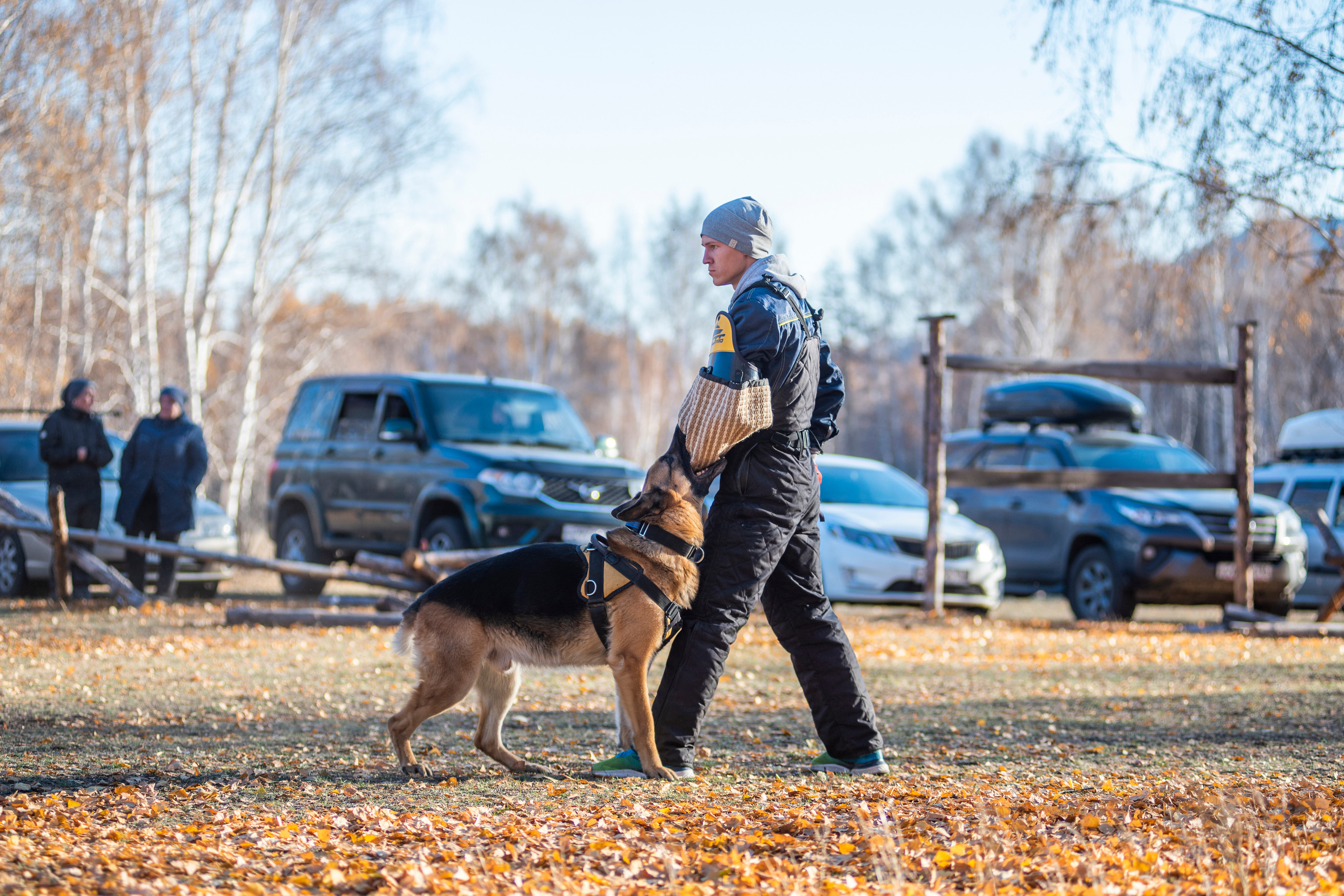RUSSIAN HELPERS SCHOOL. Магнитогорск октябрь 2021. Дог-фотограф в Тюмени Александра Королева